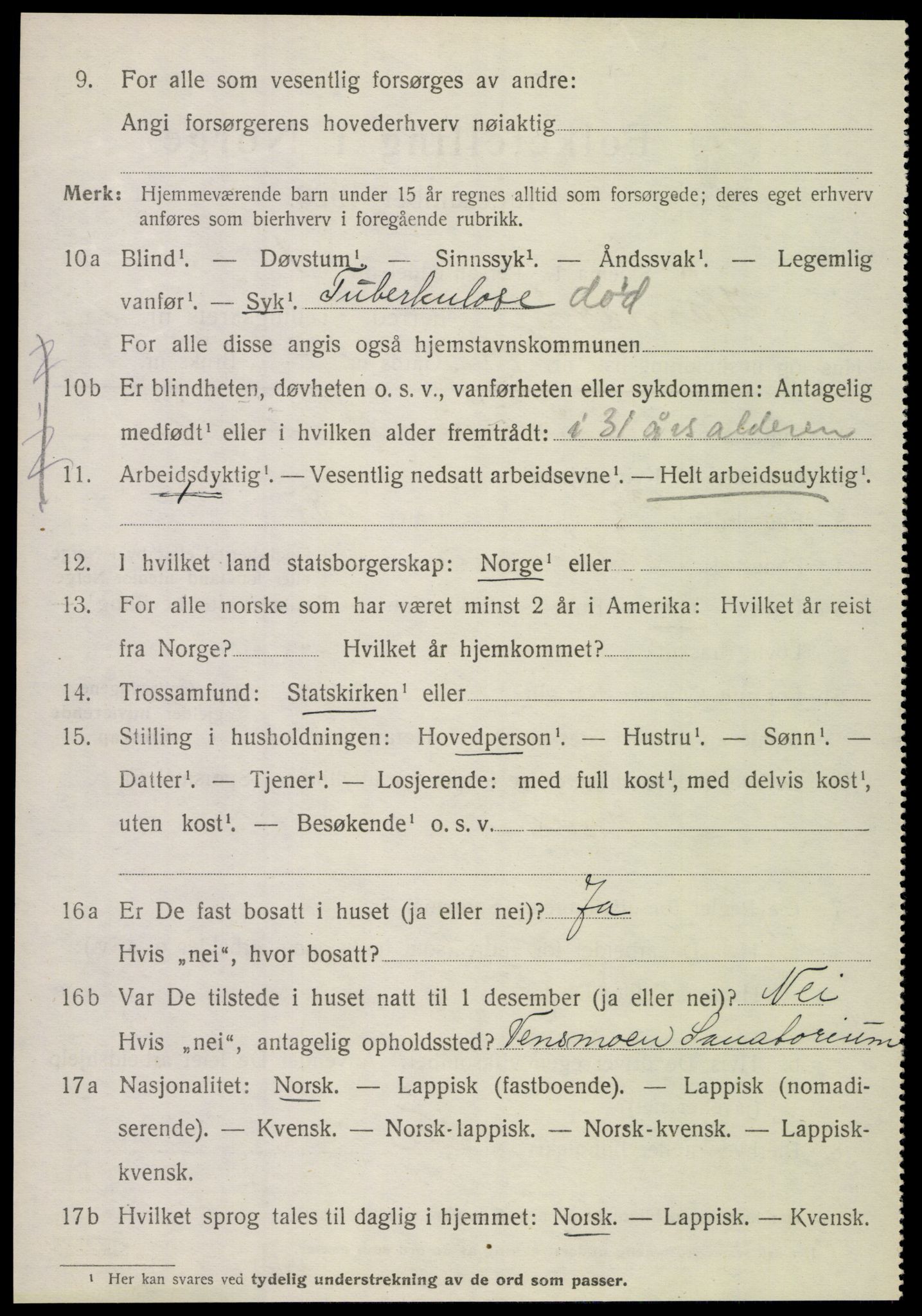 SAT, 1920 census for Hamarøy, 1920, p. 1999