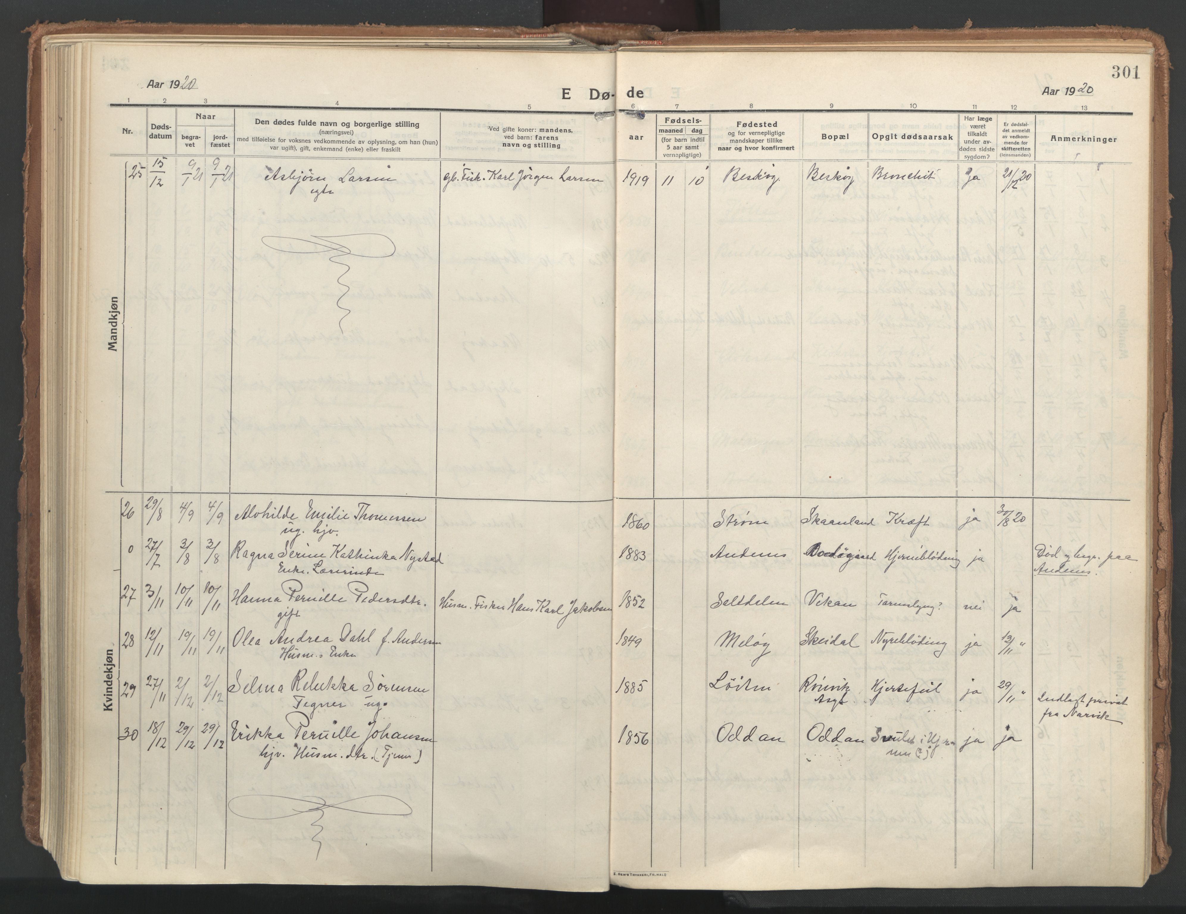 Ministerialprotokoller, klokkerbøker og fødselsregistre - Nordland, AV/SAT-A-1459/802/L0060: Parish register (official) no. 802A07, 1916-1933, p. 301