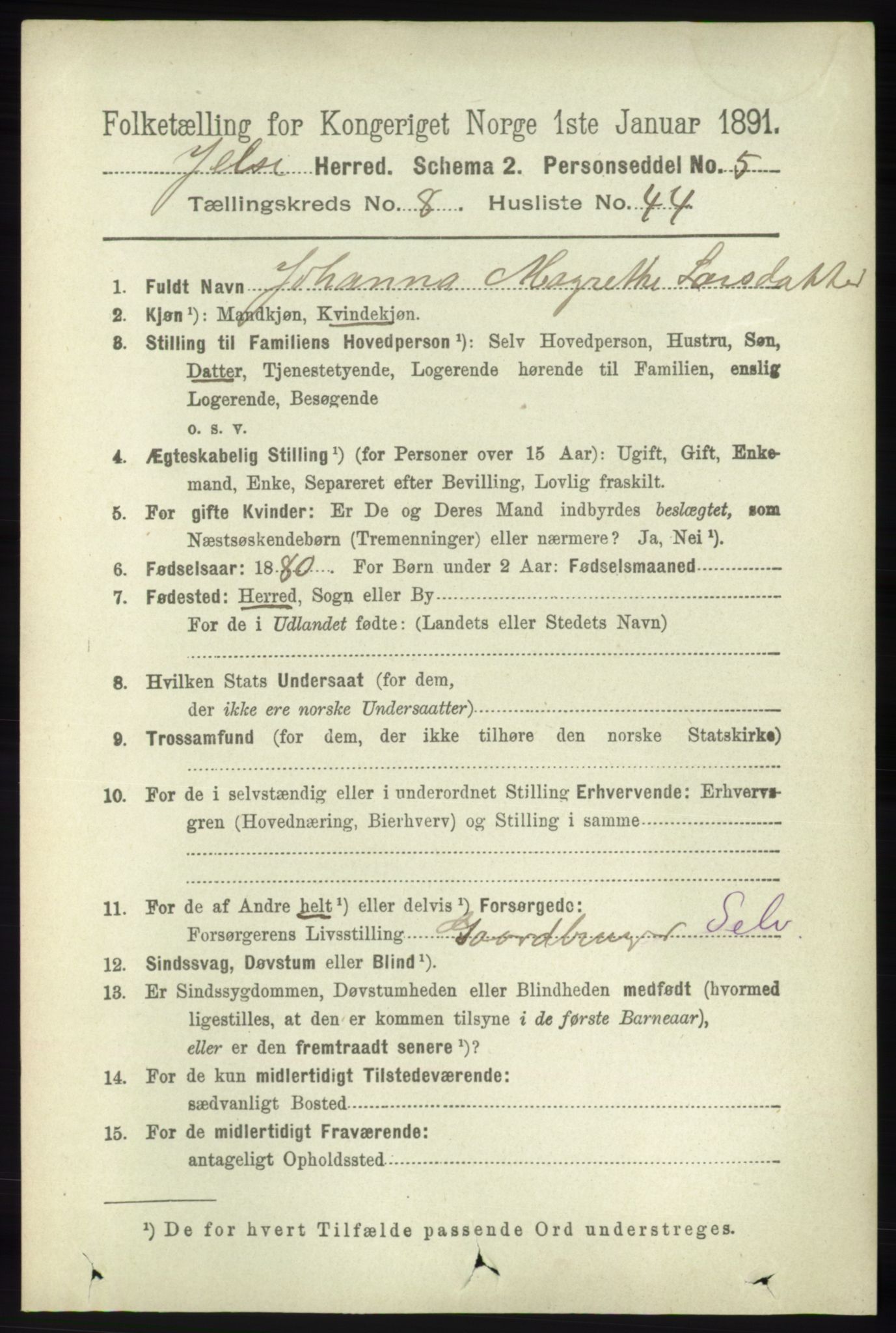 RA, 1891 census for 1138 Jelsa, 1891, p. 1999
