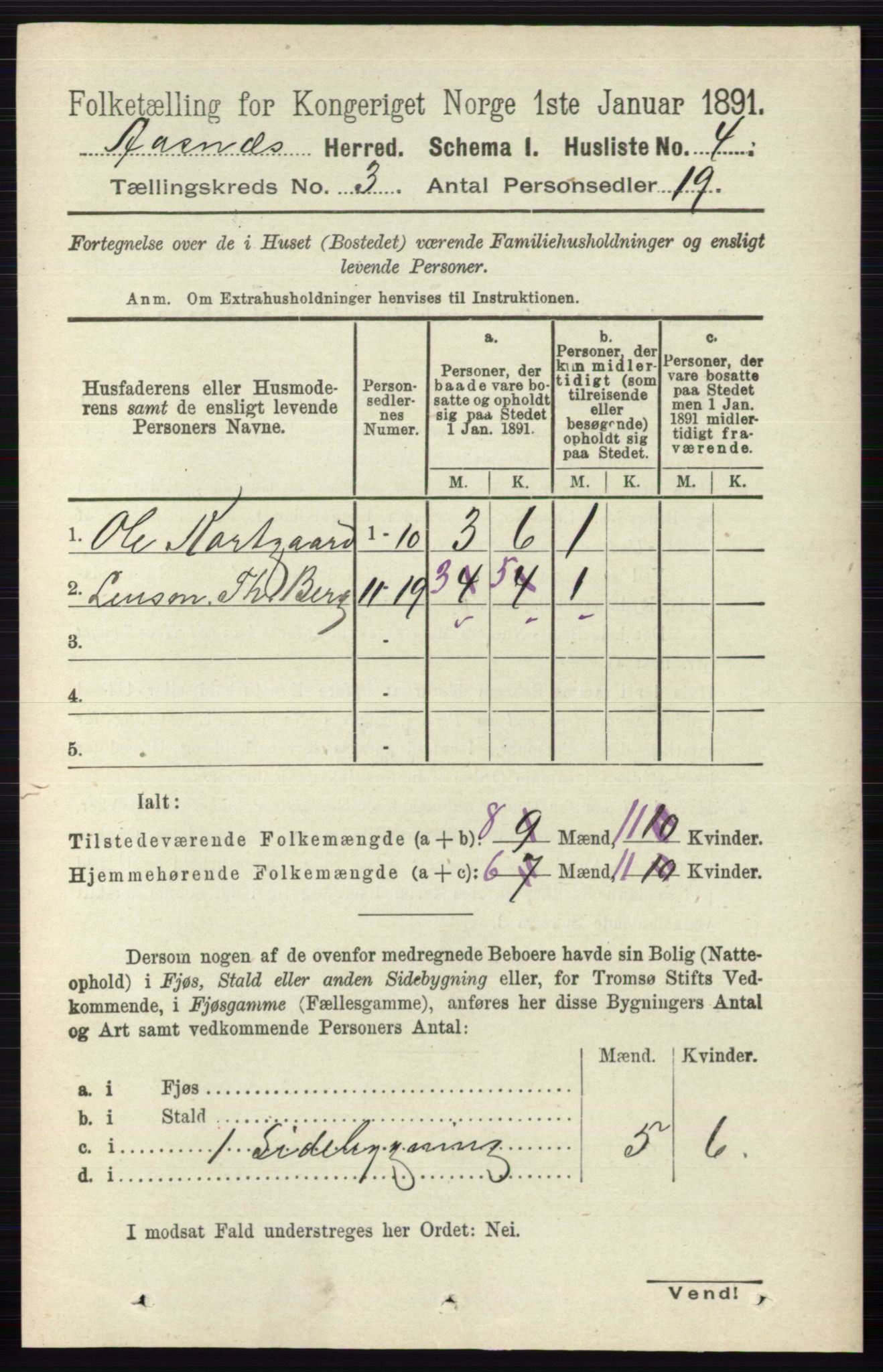 RA, 1891 census for 0425 Åsnes, 1891, p. 956
