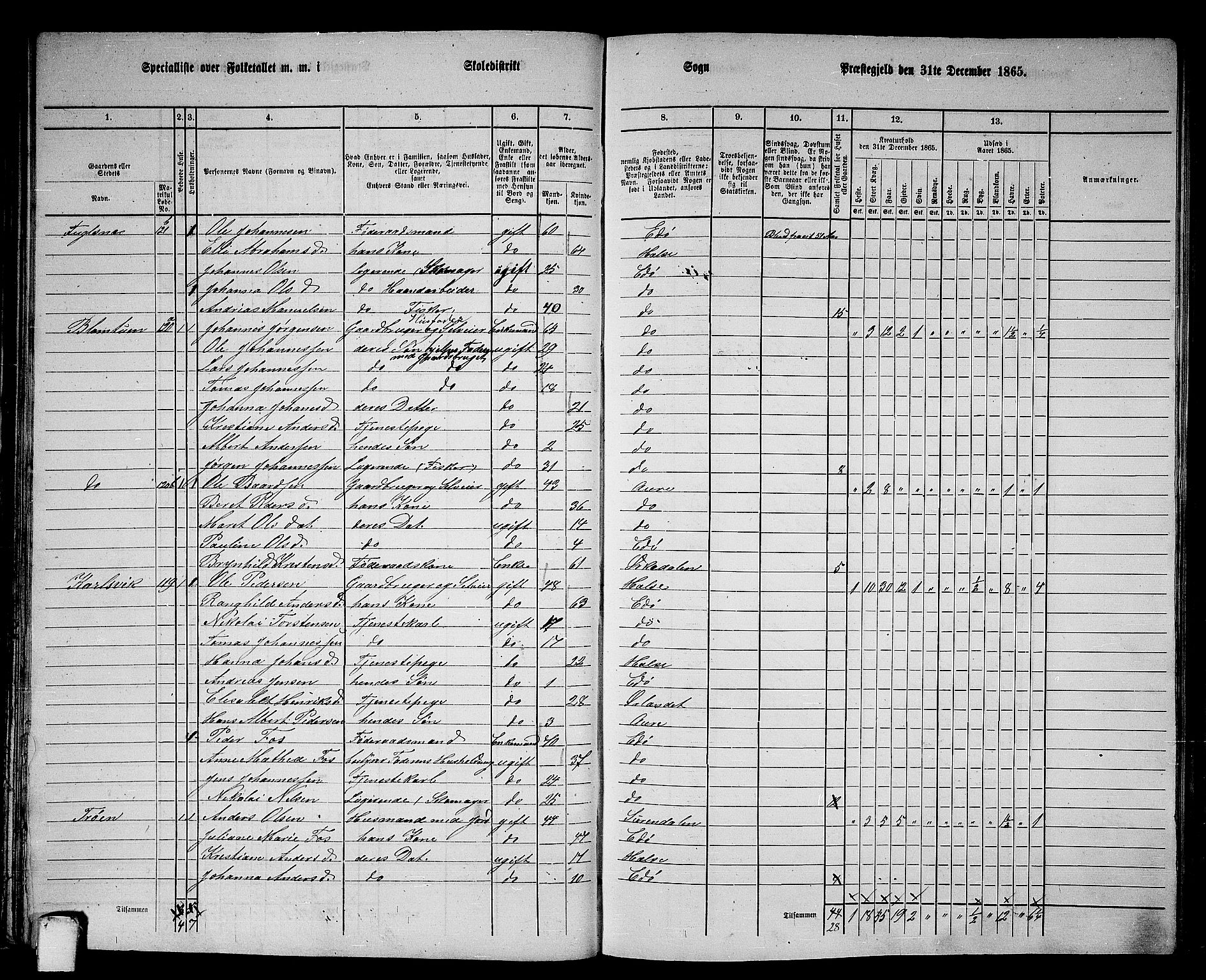 RA, 1865 census for Edøy, 1865, p. 48