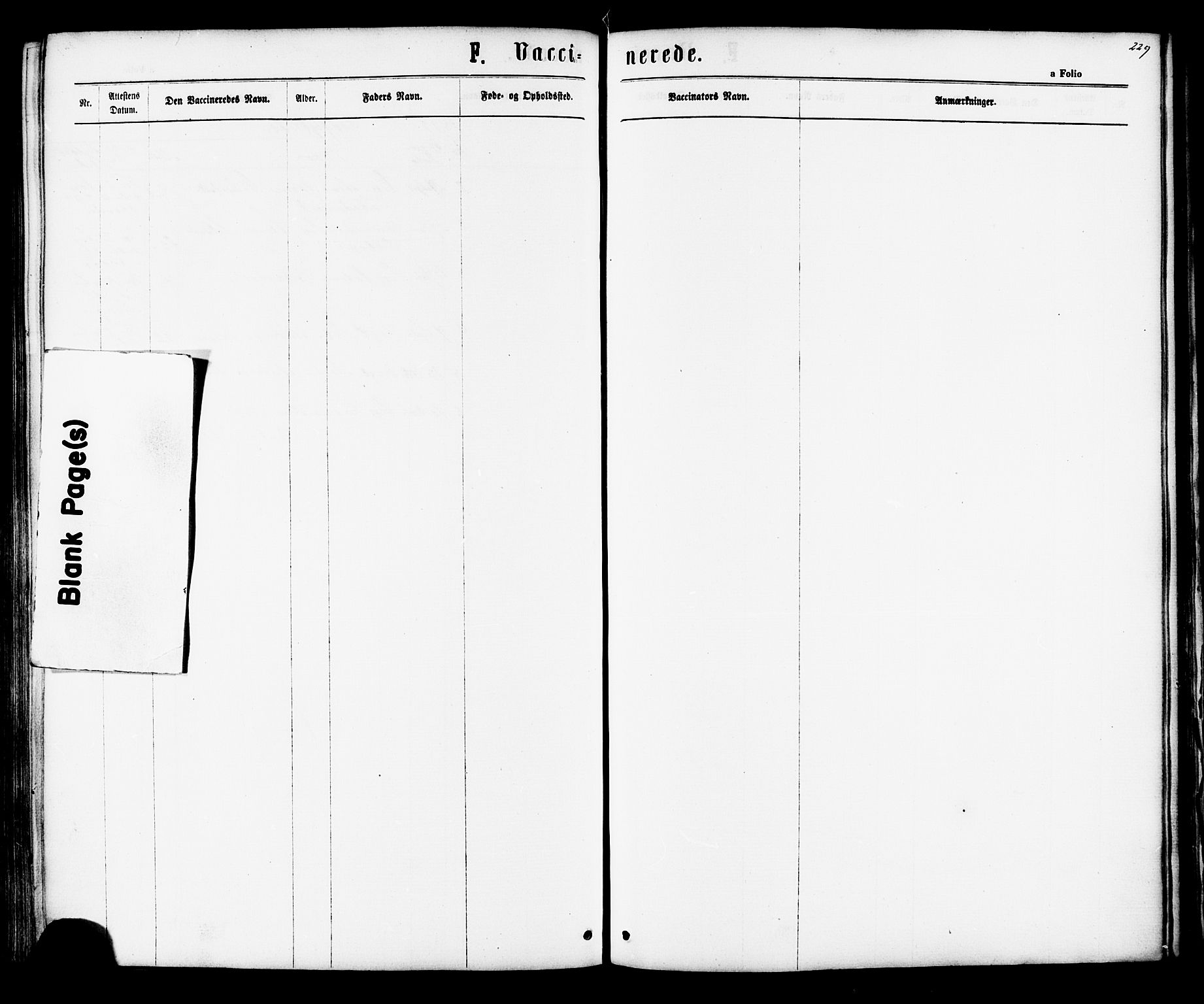 Ministerialprotokoller, klokkerbøker og fødselsregistre - Sør-Trøndelag, AV/SAT-A-1456/616/L0409: Parish register (official) no. 616A06, 1865-1877, p. 229