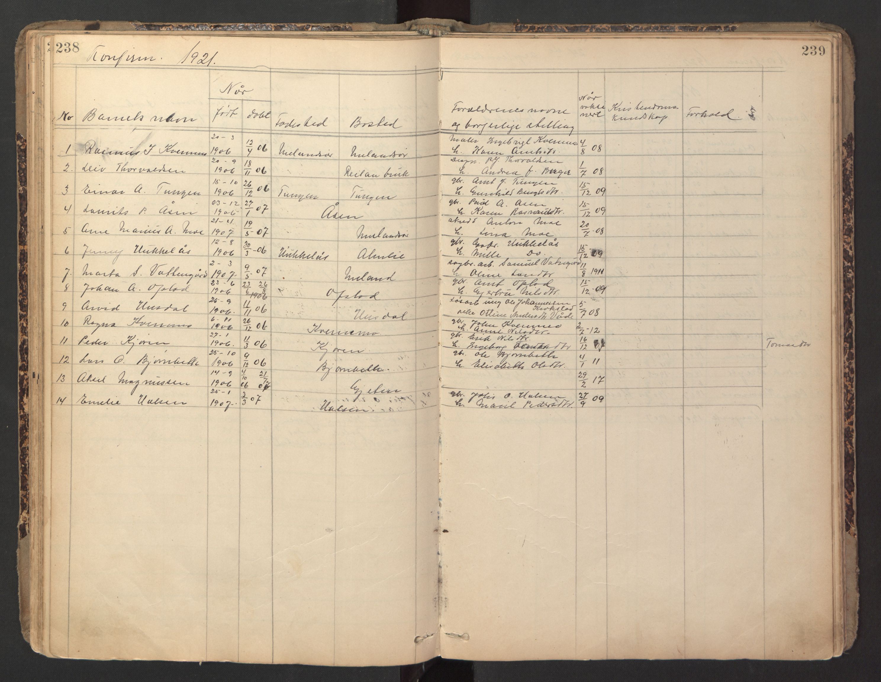 Ministerialprotokoller, klokkerbøker og fødselsregistre - Sør-Trøndelag, SAT/A-1456/670/L0837: Parish register (copy) no. 670C01, 1905-1946, p. 238-239