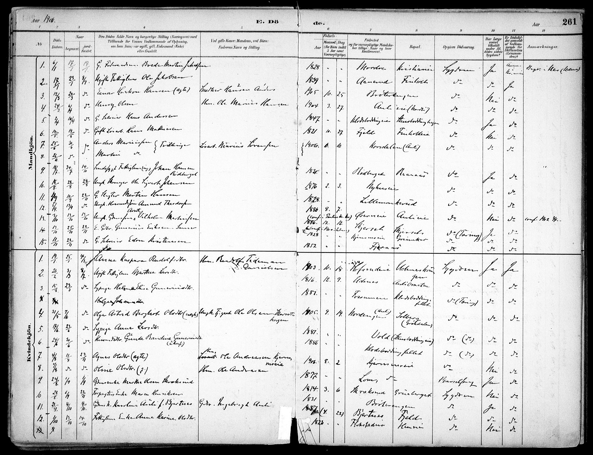 Nes prestekontor Kirkebøker, AV/SAO-A-10410/F/Fc/L0002: Parish register (official) no. IIi 2, 1882-1916, p. 261