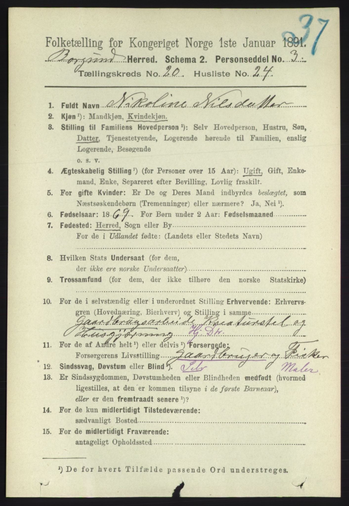 RA, 1891 census for 1531 Borgund, 1891, p. 6296