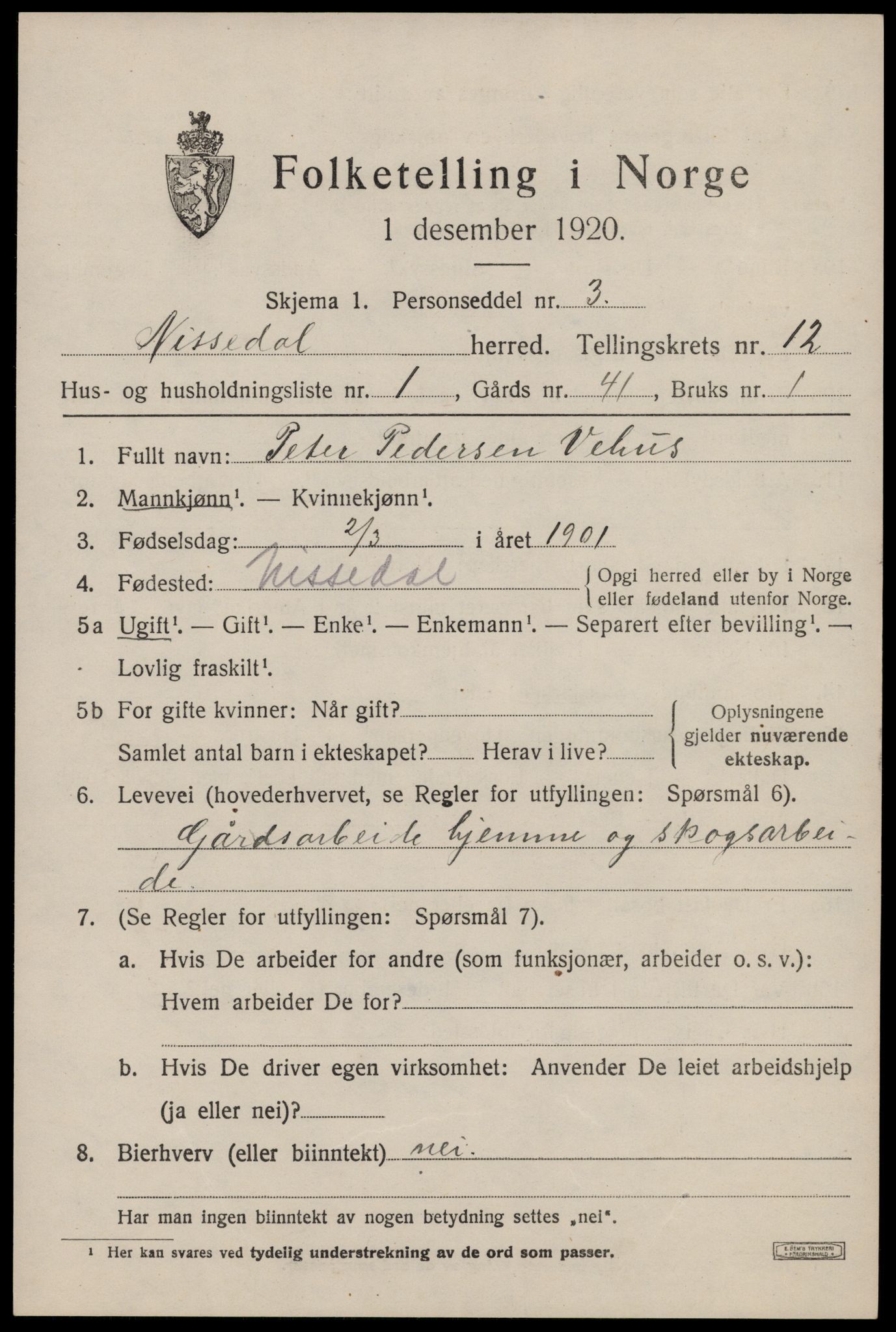 SAKO, 1920 census for Nissedal, 1920, p. 4713