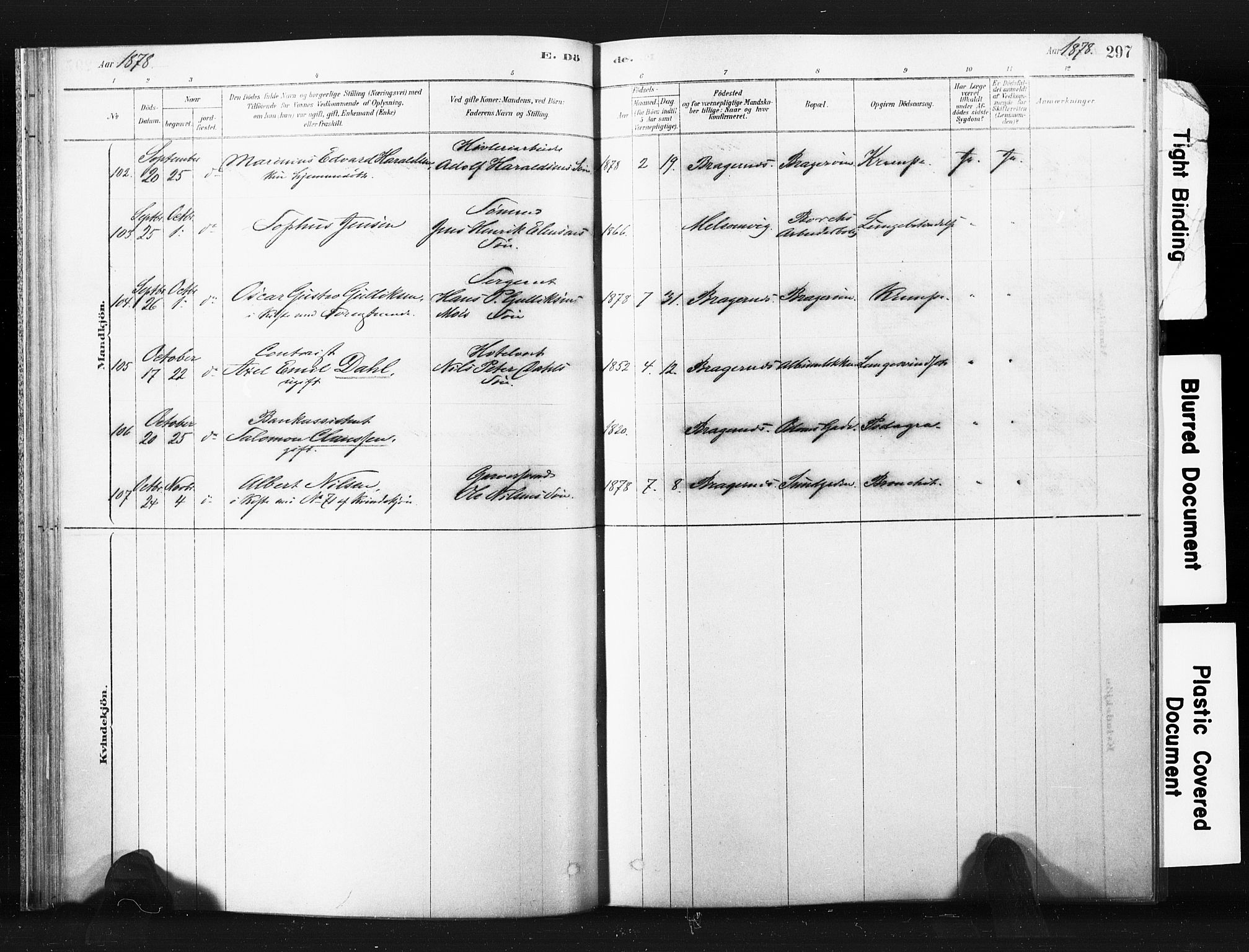 Bragernes kirkebøker, AV/SAKO-A-6/F/Fb/L0006b: Parish register (official) no. II 6B, 1878-1885, p. 297
