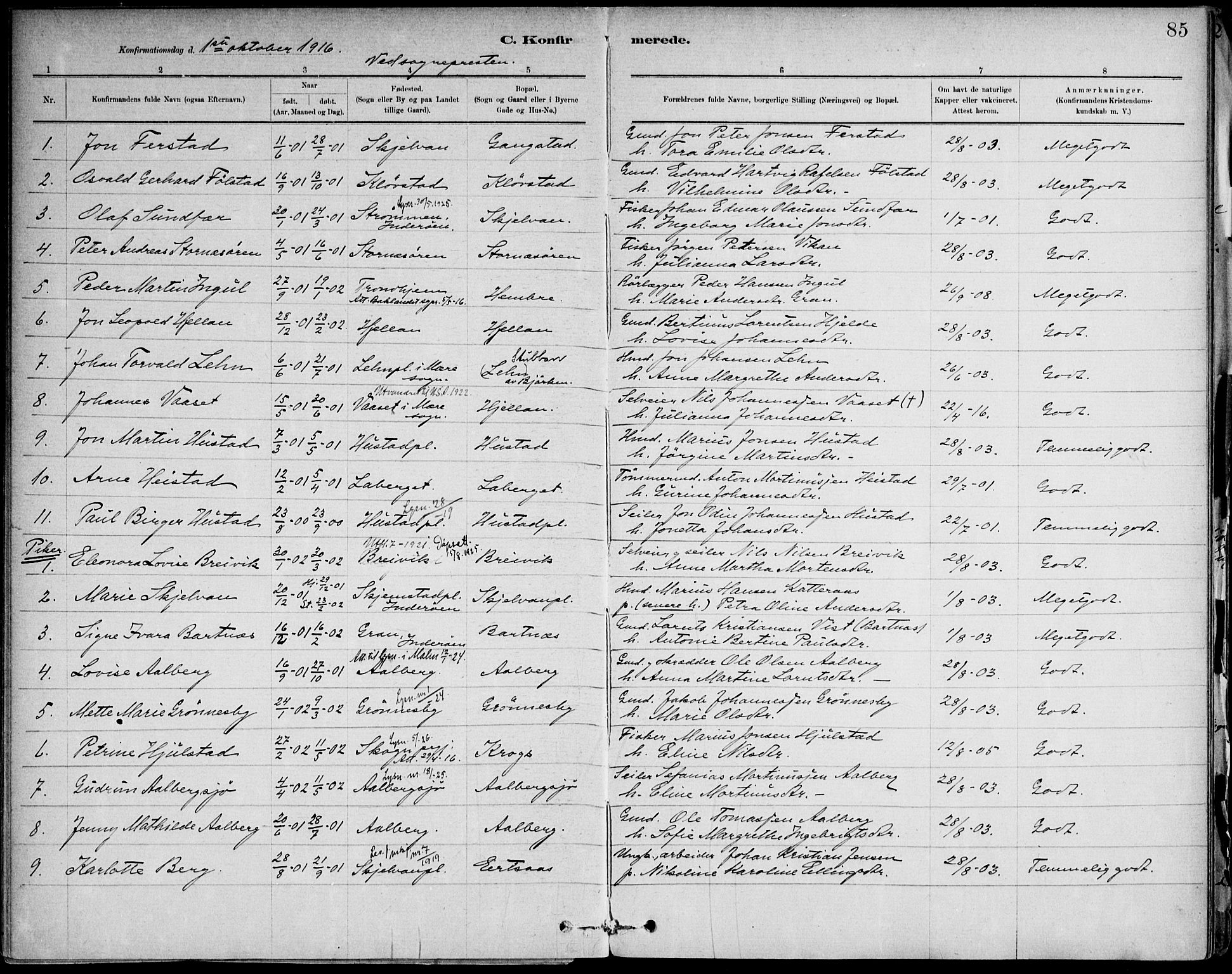 Ministerialprotokoller, klokkerbøker og fødselsregistre - Nord-Trøndelag, SAT/A-1458/732/L0316: Parish register (official) no. 732A01, 1879-1921, p. 85