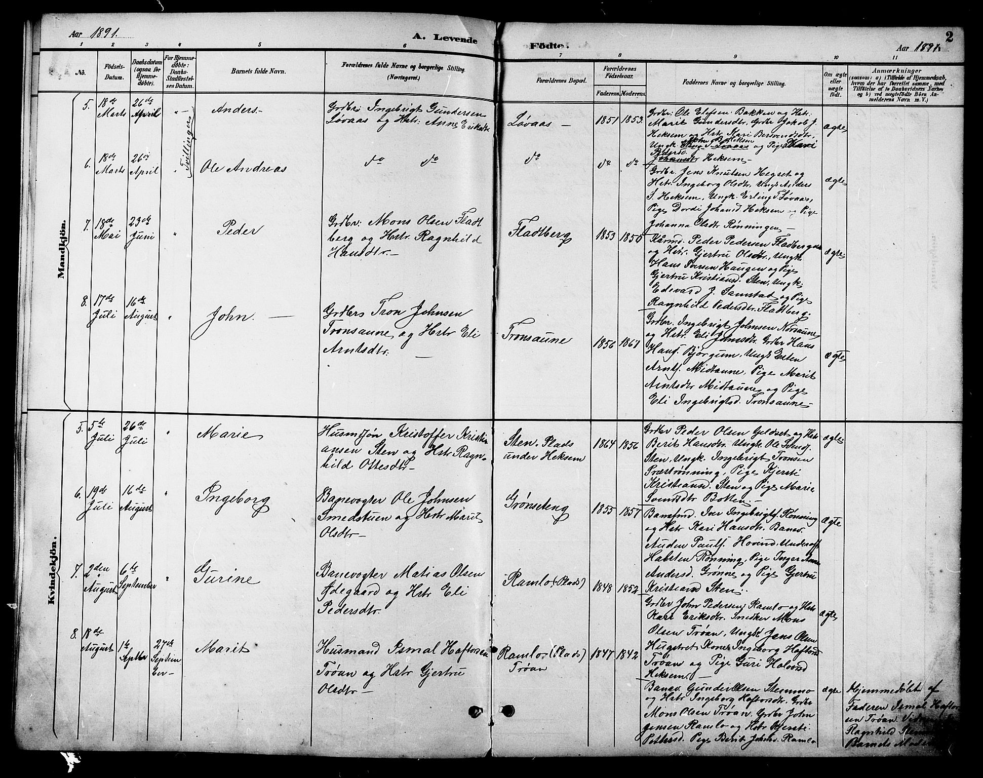 Ministerialprotokoller, klokkerbøker og fødselsregistre - Sør-Trøndelag, SAT/A-1456/685/L0978: Parish register (copy) no. 685C03, 1891-1907, p. 2