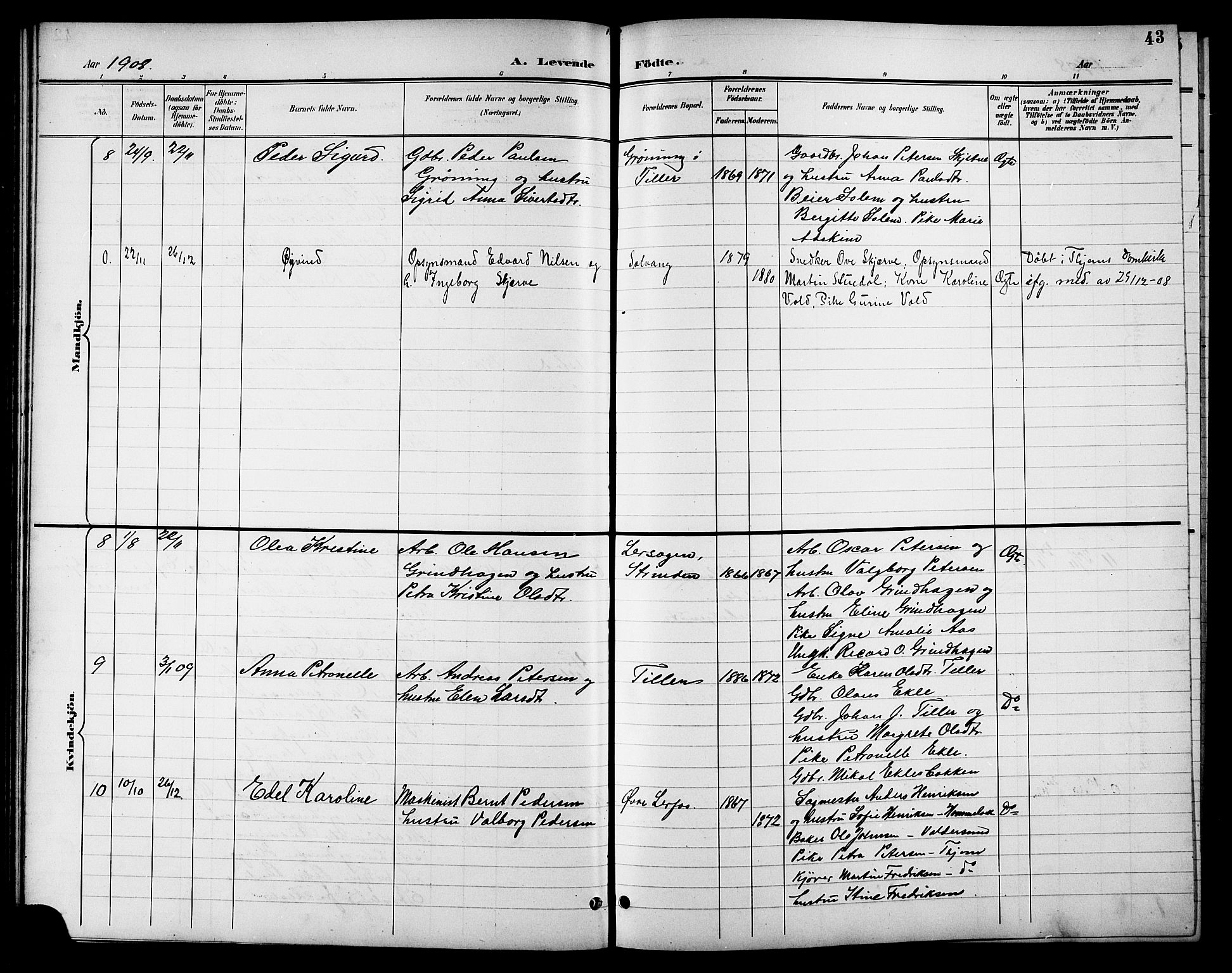 Ministerialprotokoller, klokkerbøker og fødselsregistre - Sør-Trøndelag, AV/SAT-A-1456/621/L0460: Parish register (copy) no. 621C03, 1896-1914, p. 43