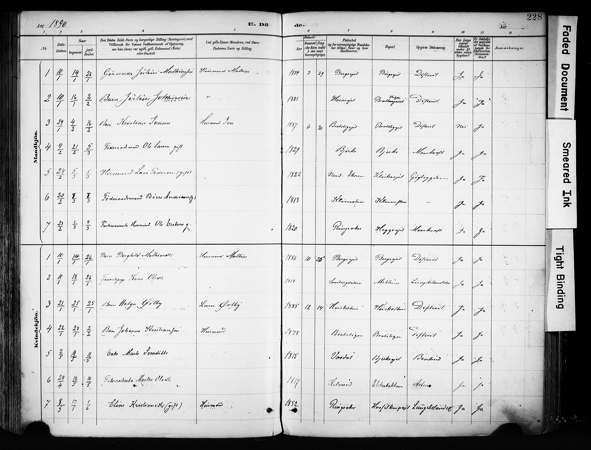 Biri prestekontor, SAH/PREST-096/H/Ha/Haa/L0009: Parish register (official) no. 9, 1887-1900, p. 228