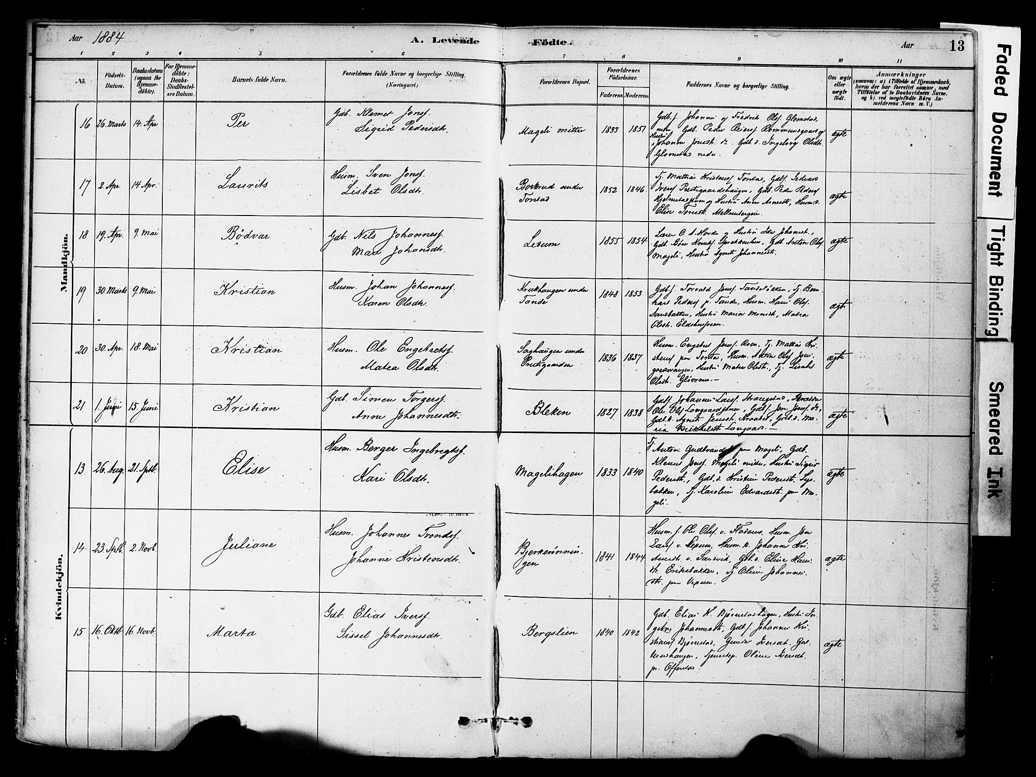 Øyer prestekontor, AV/SAH-PREST-084/H/Ha/Haa/L0009: Parish register (official) no. 9, 1878-1893, p. 13