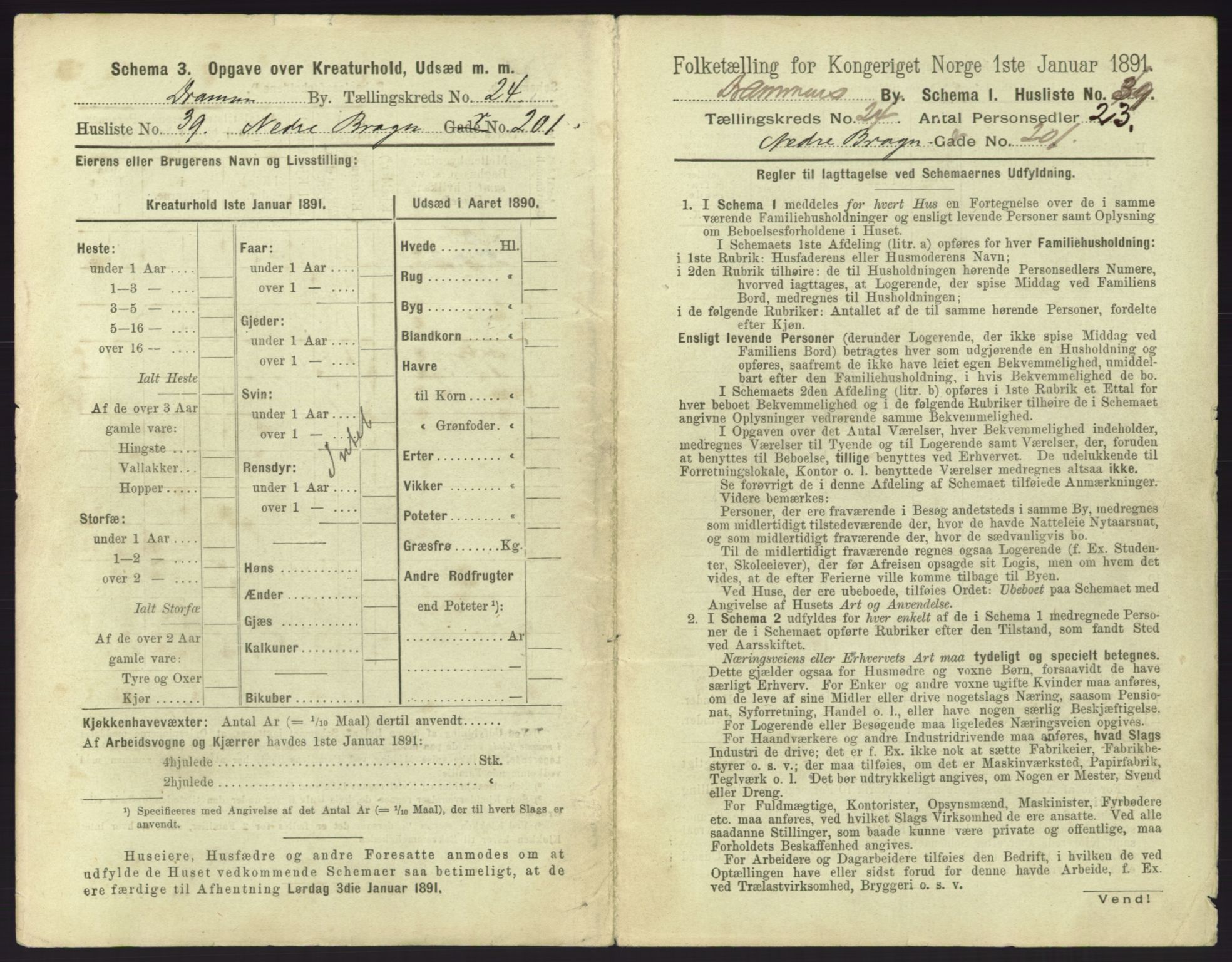 RA, 1891 census for 0602 Drammen, 1891, p. 2071