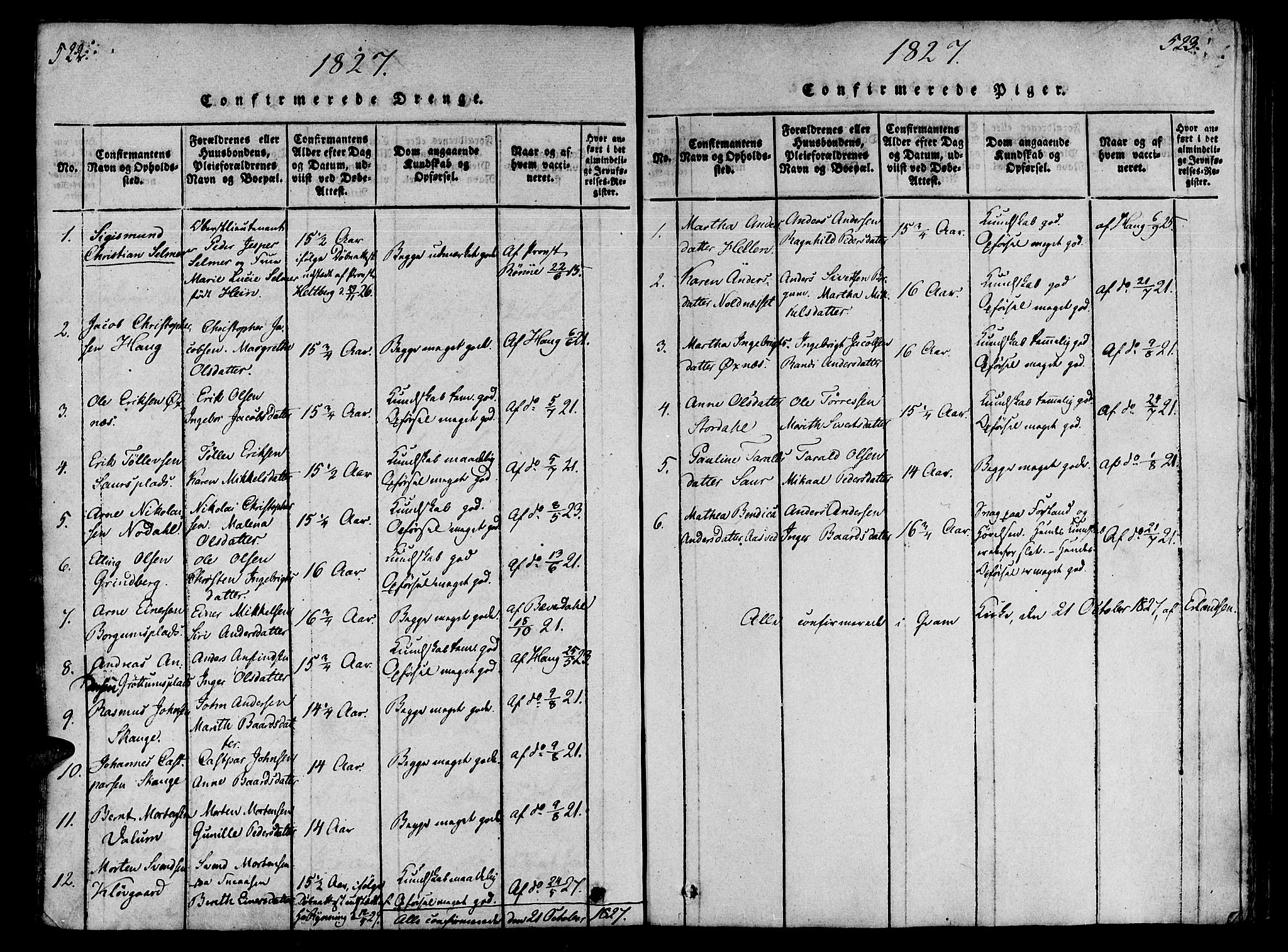 Ministerialprotokoller, klokkerbøker og fødselsregistre - Nord-Trøndelag, AV/SAT-A-1458/746/L0441: Parish register (official) no. 746A03 /2, 1816-1827, p. 522-523