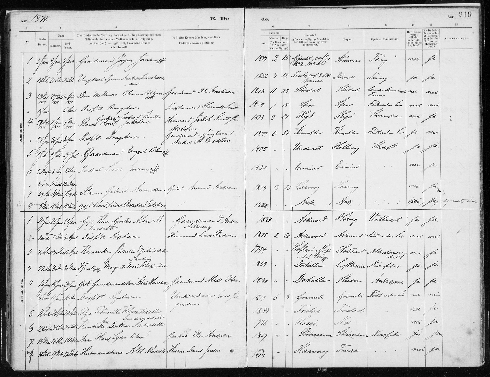 Askvoll sokneprestembete, SAB/A-79501/H/Haa/Haab/L0002: Parish register (official) no. B 2, 1879-1909, p. 219