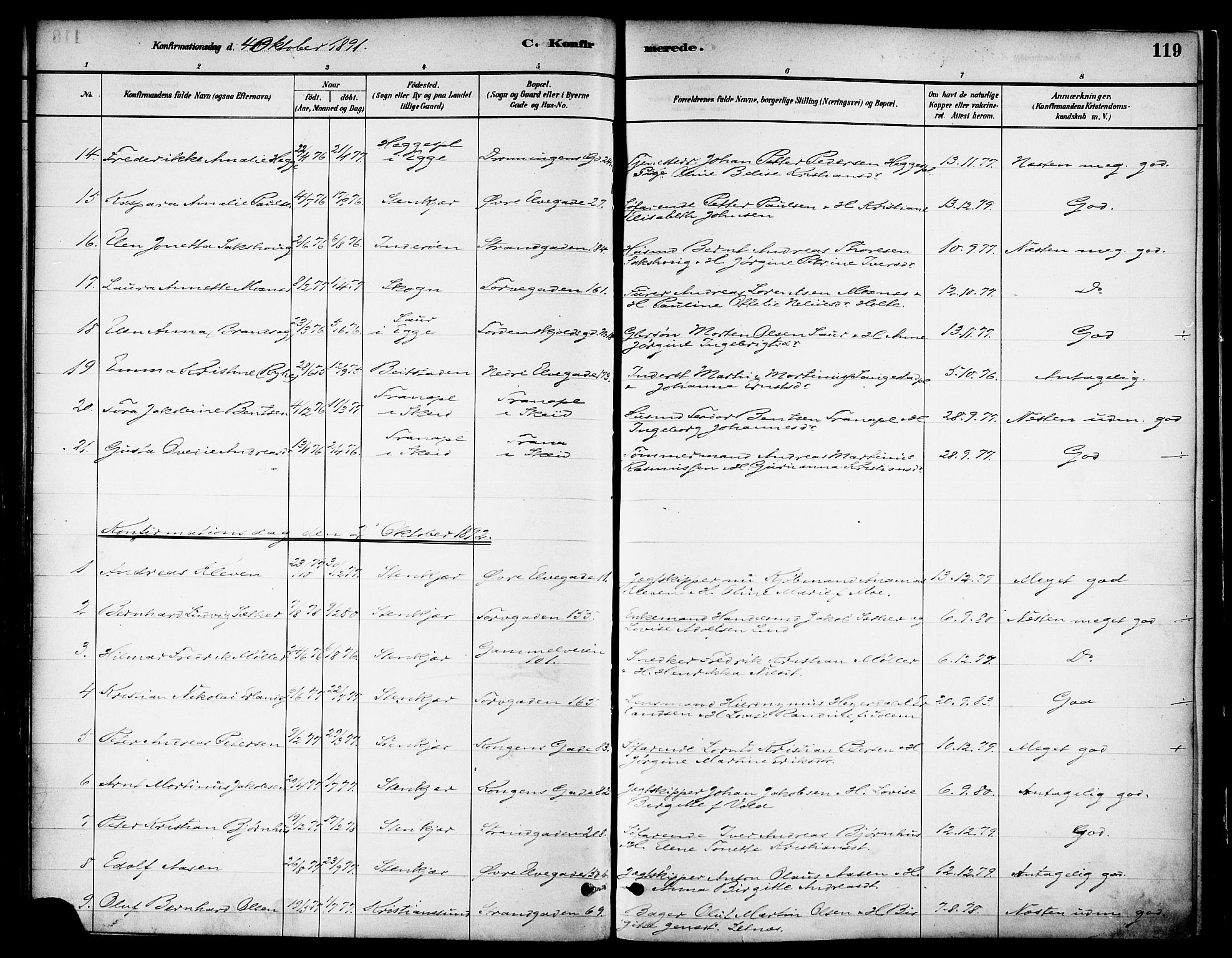 Ministerialprotokoller, klokkerbøker og fødselsregistre - Nord-Trøndelag, SAT/A-1458/739/L0371: Parish register (official) no. 739A03, 1881-1895, p. 119