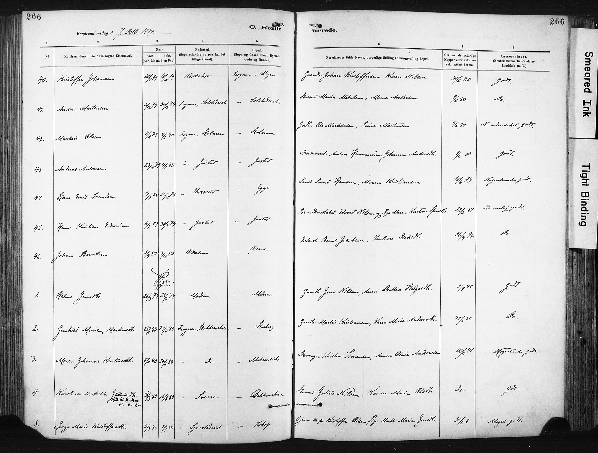 Lier kirkebøker, SAKO/A-230/F/Fa/L0015: Parish register (official) no. I 15, 1883-1894, p. 266