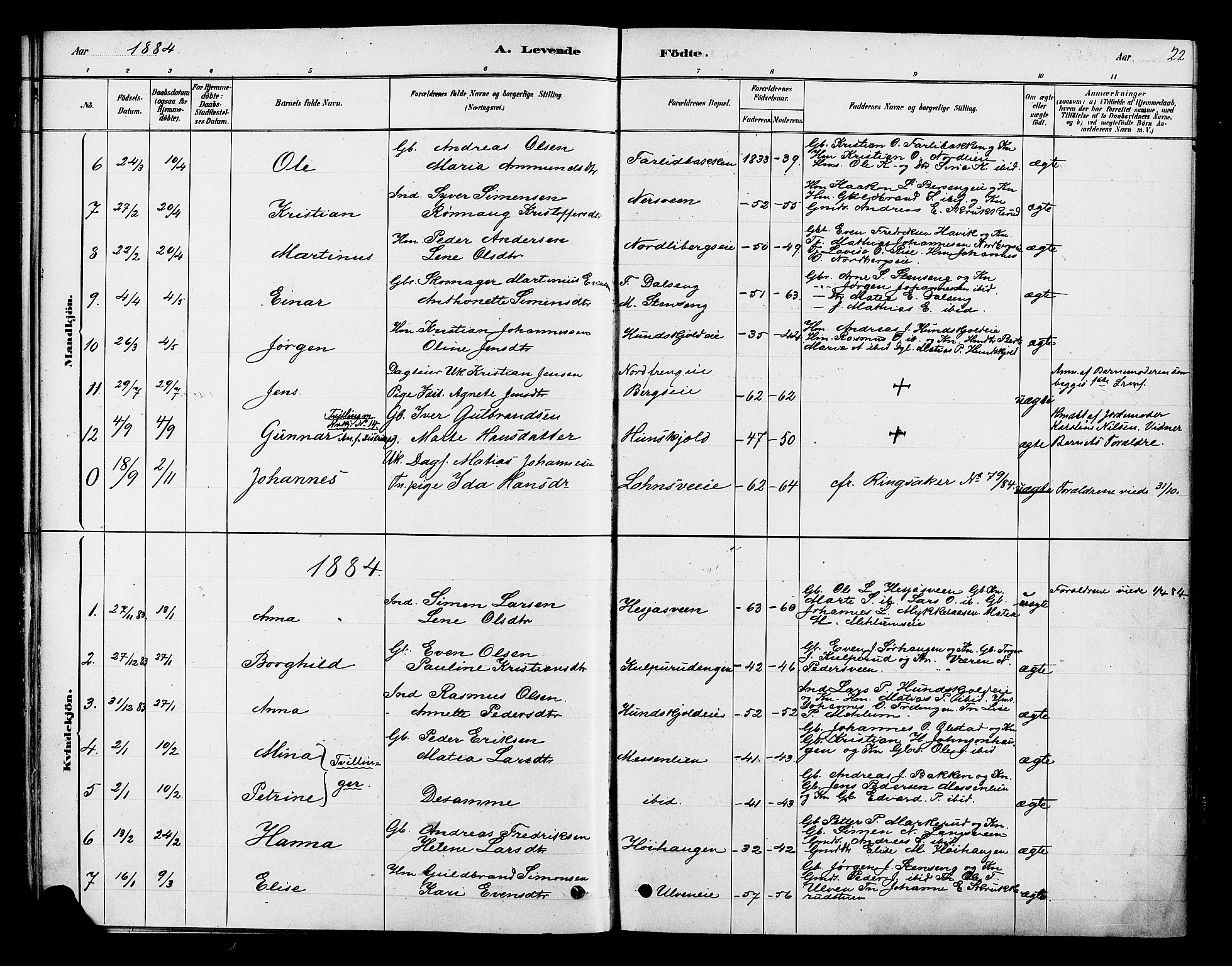 Ringsaker prestekontor, AV/SAH-PREST-014/K/Ka/L0013: Parish register (official) no. 13, 1879-1890, p. 22