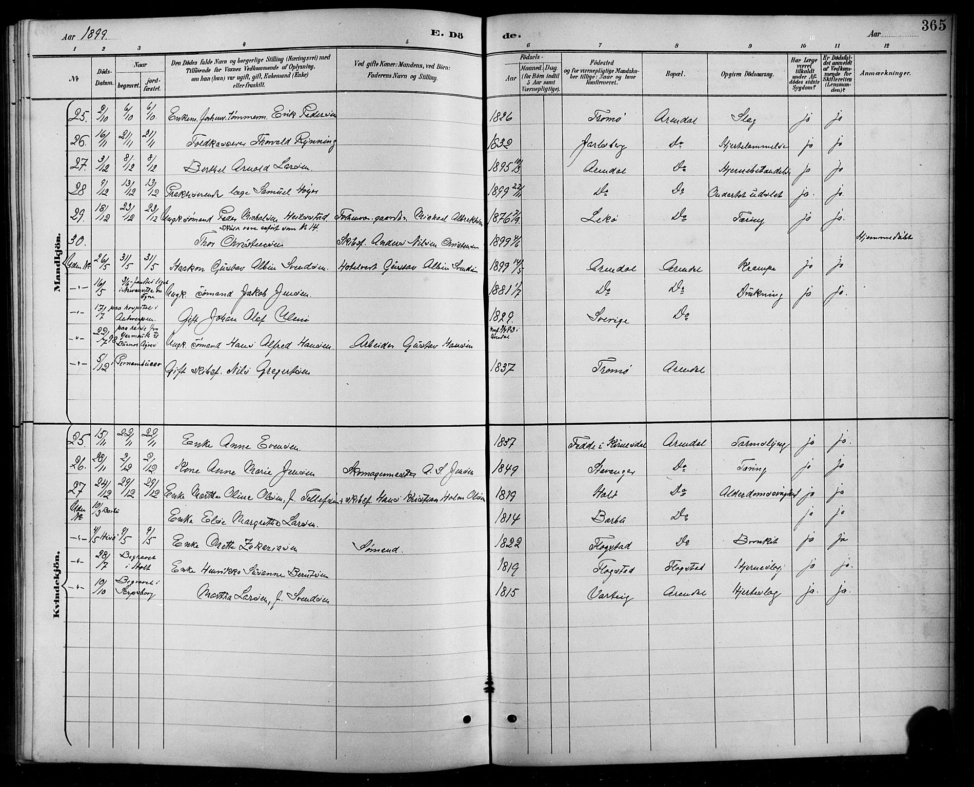 Arendal sokneprestkontor, Trefoldighet, AV/SAK-1111-0040/F/Fb/L0006: Parish register (copy) no. B 6, 1889-1916, p. 365