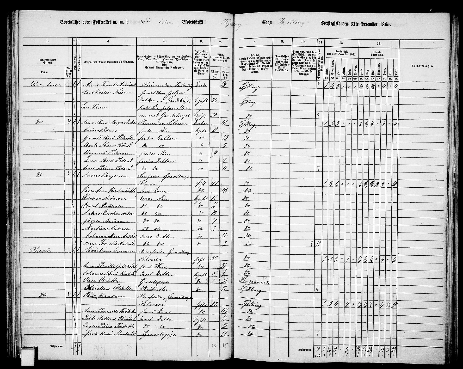 RA, 1865 census for Tjølling, 1865, p. 105