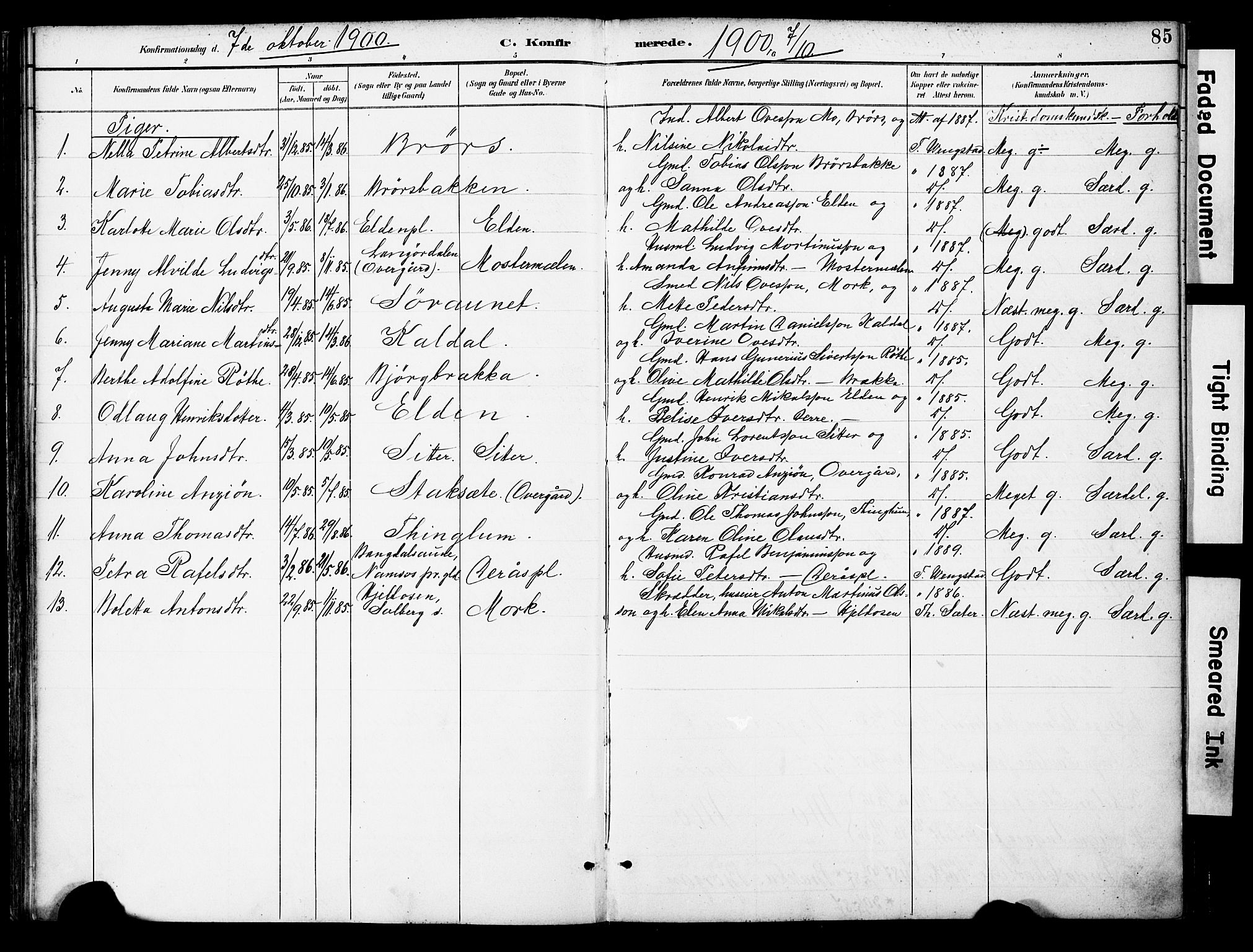 Ministerialprotokoller, klokkerbøker og fødselsregistre - Nord-Trøndelag, SAT/A-1458/742/L0409: Parish register (official) no. 742A02, 1891-1905, p. 85