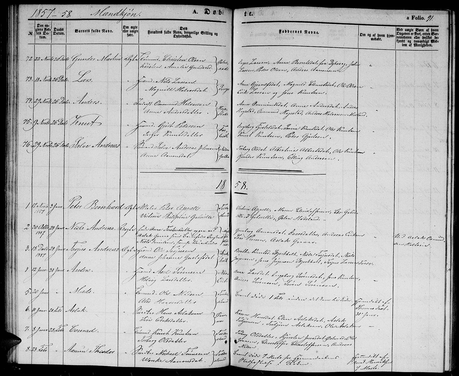 Holt sokneprestkontor, AV/SAK-1111-0021/F/Fb/L0007: Parish register (copy) no. B 7, 1849-1858, p. 91