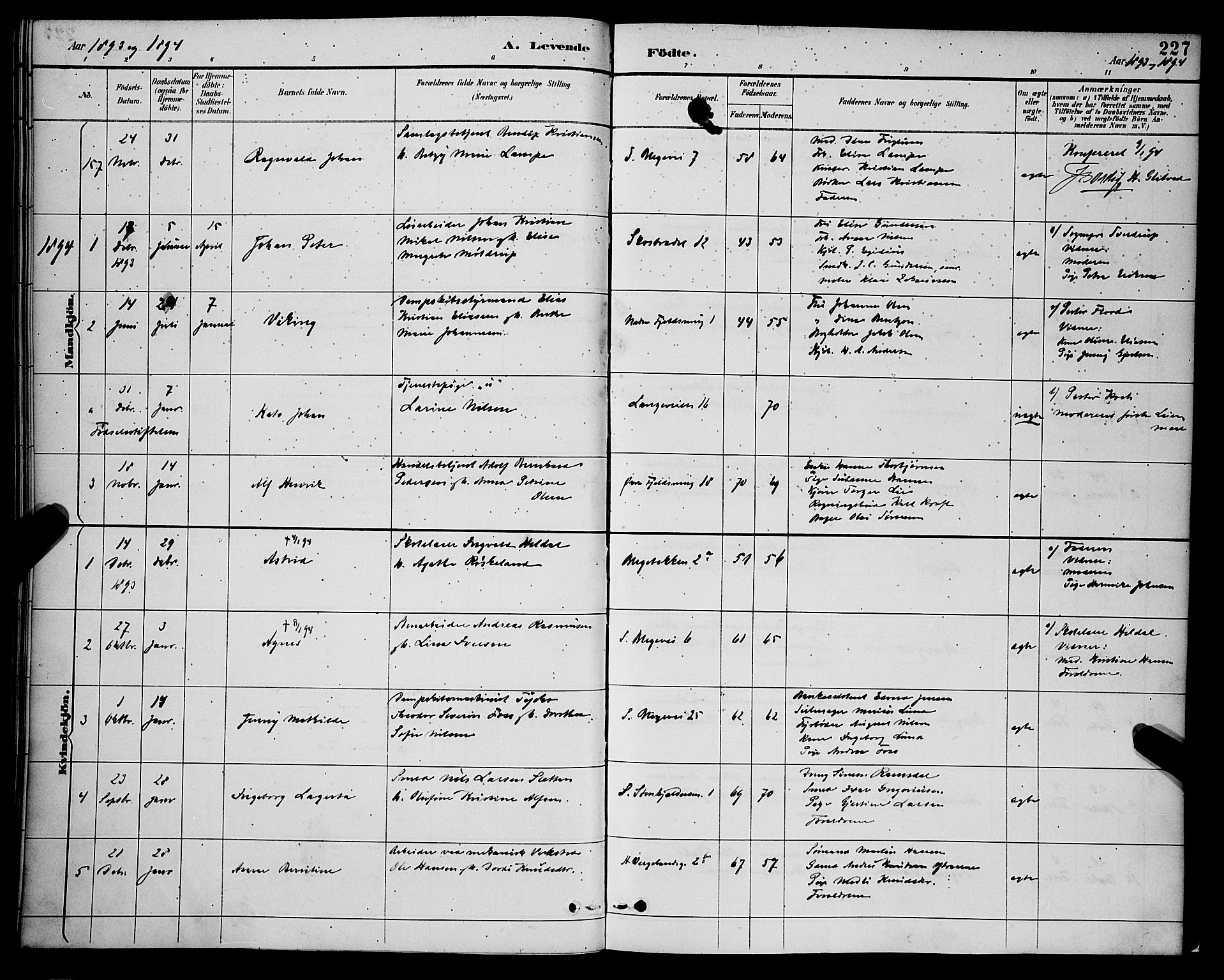 Korskirken sokneprestembete, SAB/A-76101/H/Hab: Parish register (copy) no. B 9, 1887-1896, p. 227
