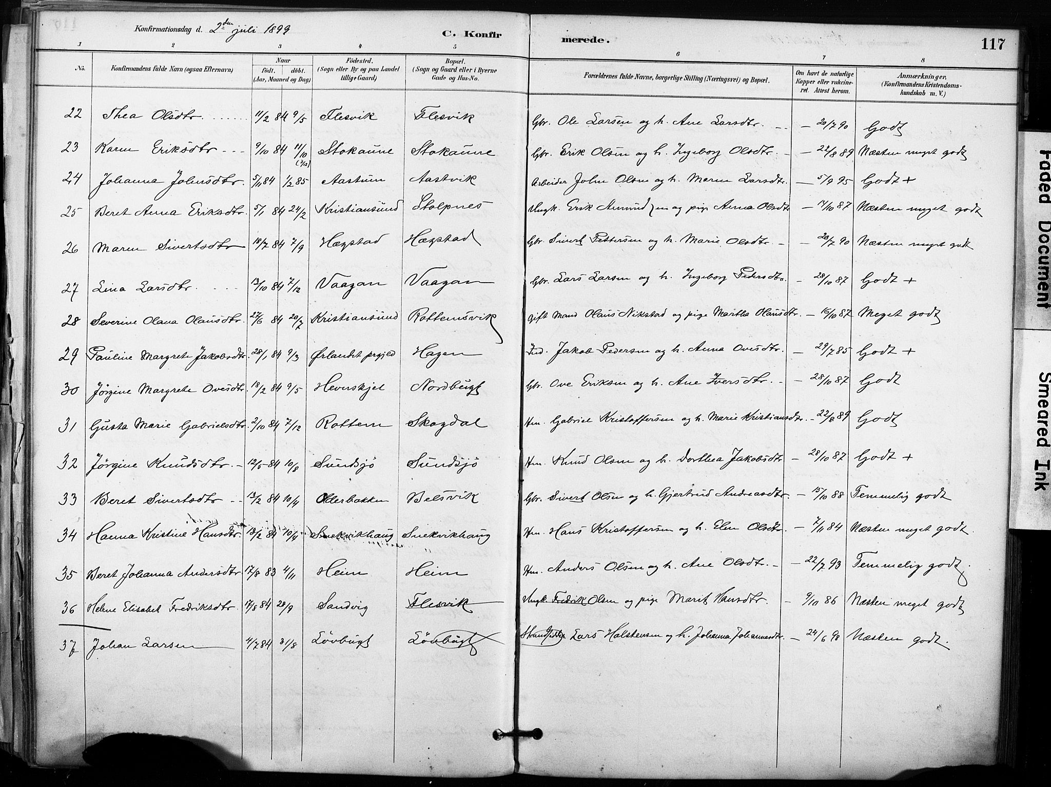Ministerialprotokoller, klokkerbøker og fødselsregistre - Sør-Trøndelag, SAT/A-1456/633/L0518: Parish register (official) no. 633A01, 1884-1906, p. 117