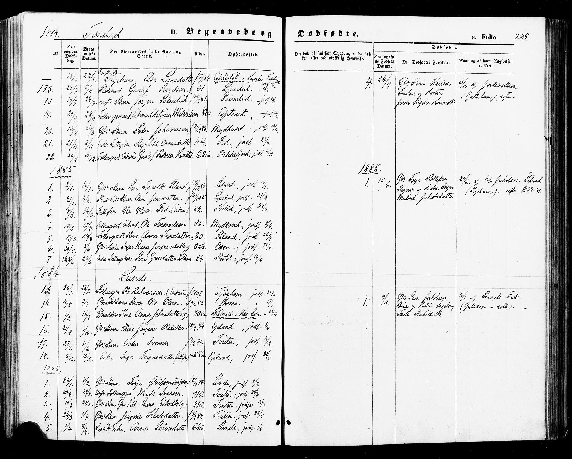 Sirdal sokneprestkontor, AV/SAK-1111-0036/F/Fa/Fab/L0003: Parish register (official) no. A 3, 1874-1886, p. 285