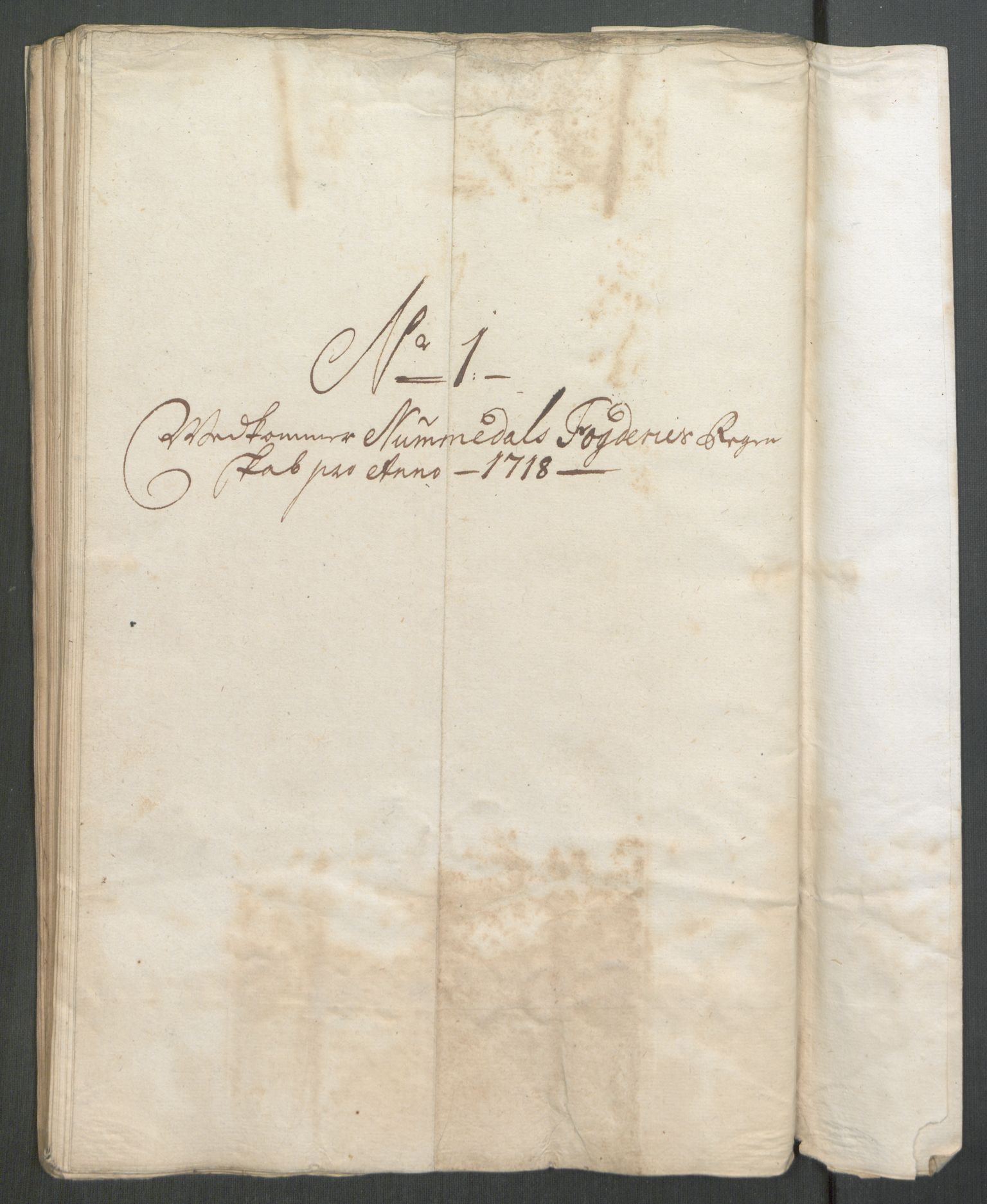 Rentekammeret inntil 1814, Reviderte regnskaper, Fogderegnskap, RA/EA-4092/R64/L4439: Fogderegnskap Namdal, 1718, p. 87