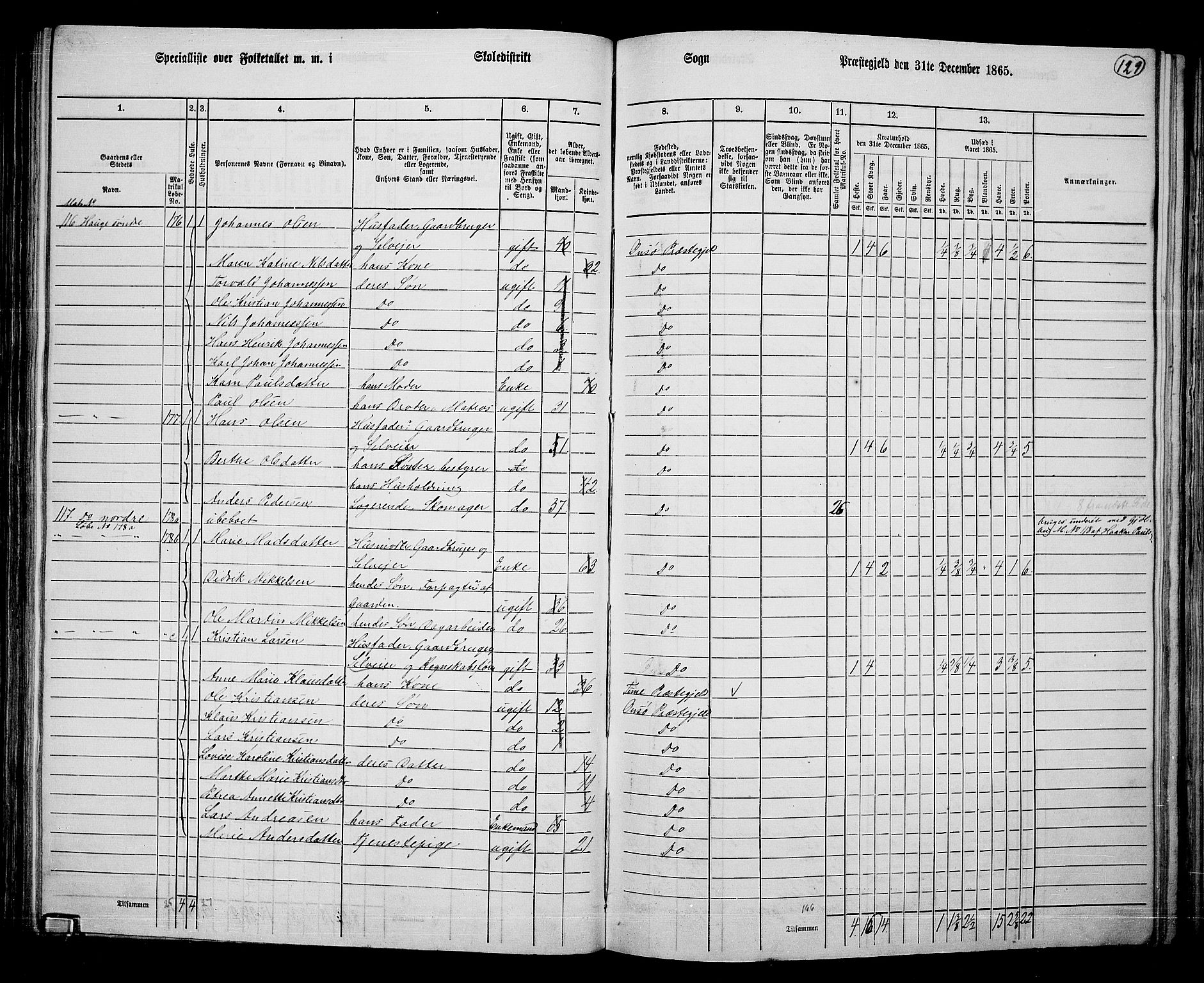 RA, 1865 census for Onsøy, 1865, p. 119