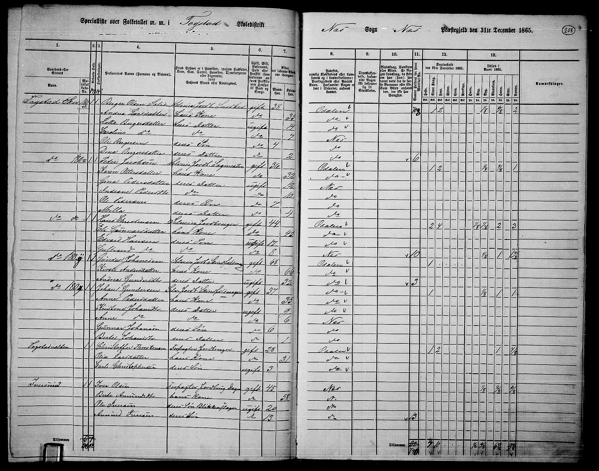 RA, 1865 census for Nes, 1865, p. 191