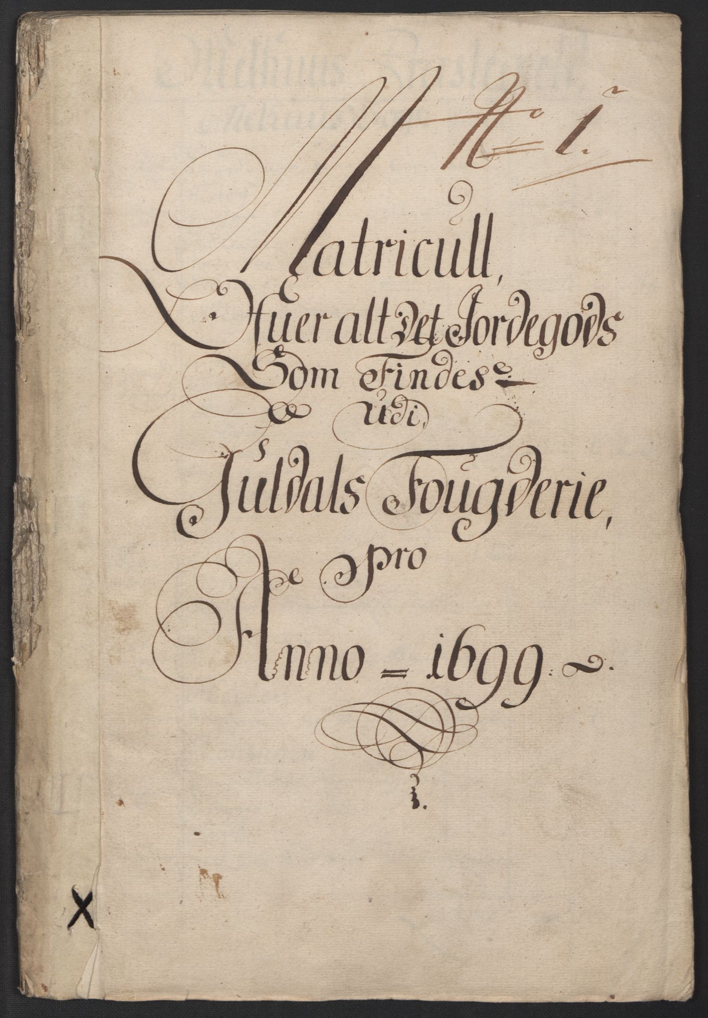 Rentekammeret inntil 1814, Reviderte regnskaper, Fogderegnskap, AV/RA-EA-4092/R60/L3949: Fogderegnskap Orkdal og Gauldal, 1699, p. 224