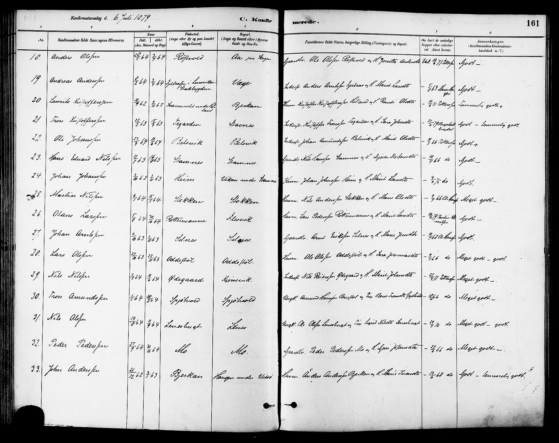 Ministerialprotokoller, klokkerbøker og fødselsregistre - Sør-Trøndelag, SAT/A-1456/630/L0496: Parish register (official) no. 630A09, 1879-1895, p. 161