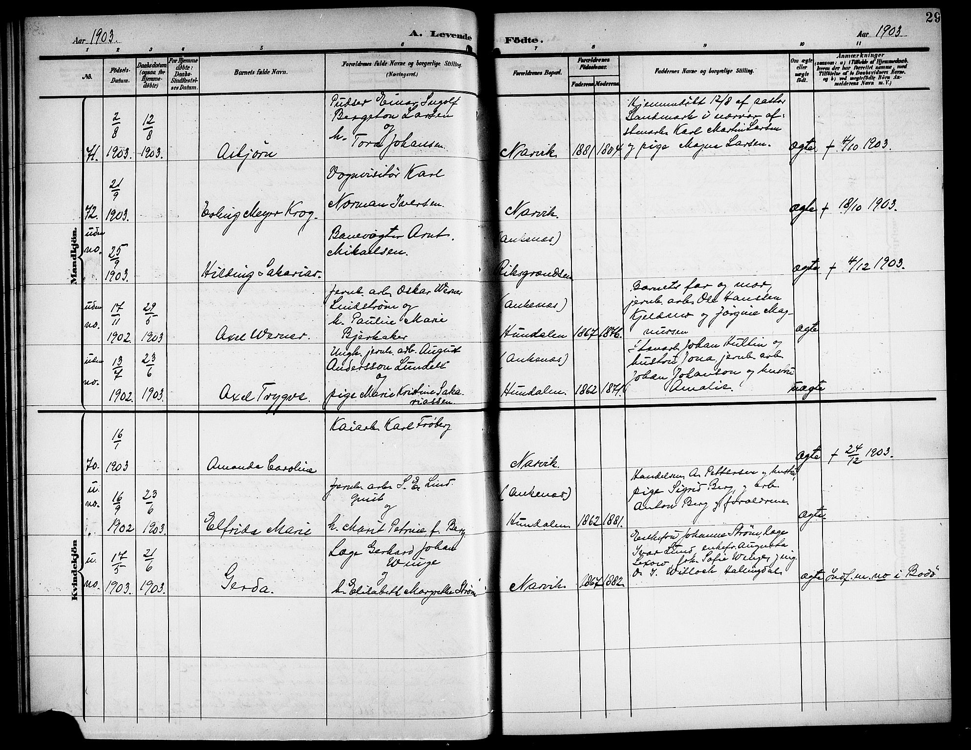 Ministerialprotokoller, klokkerbøker og fødselsregistre - Nordland, AV/SAT-A-1459/871/L1012: Parish register (copy) no. 871C01, 1902-1909, p. 29