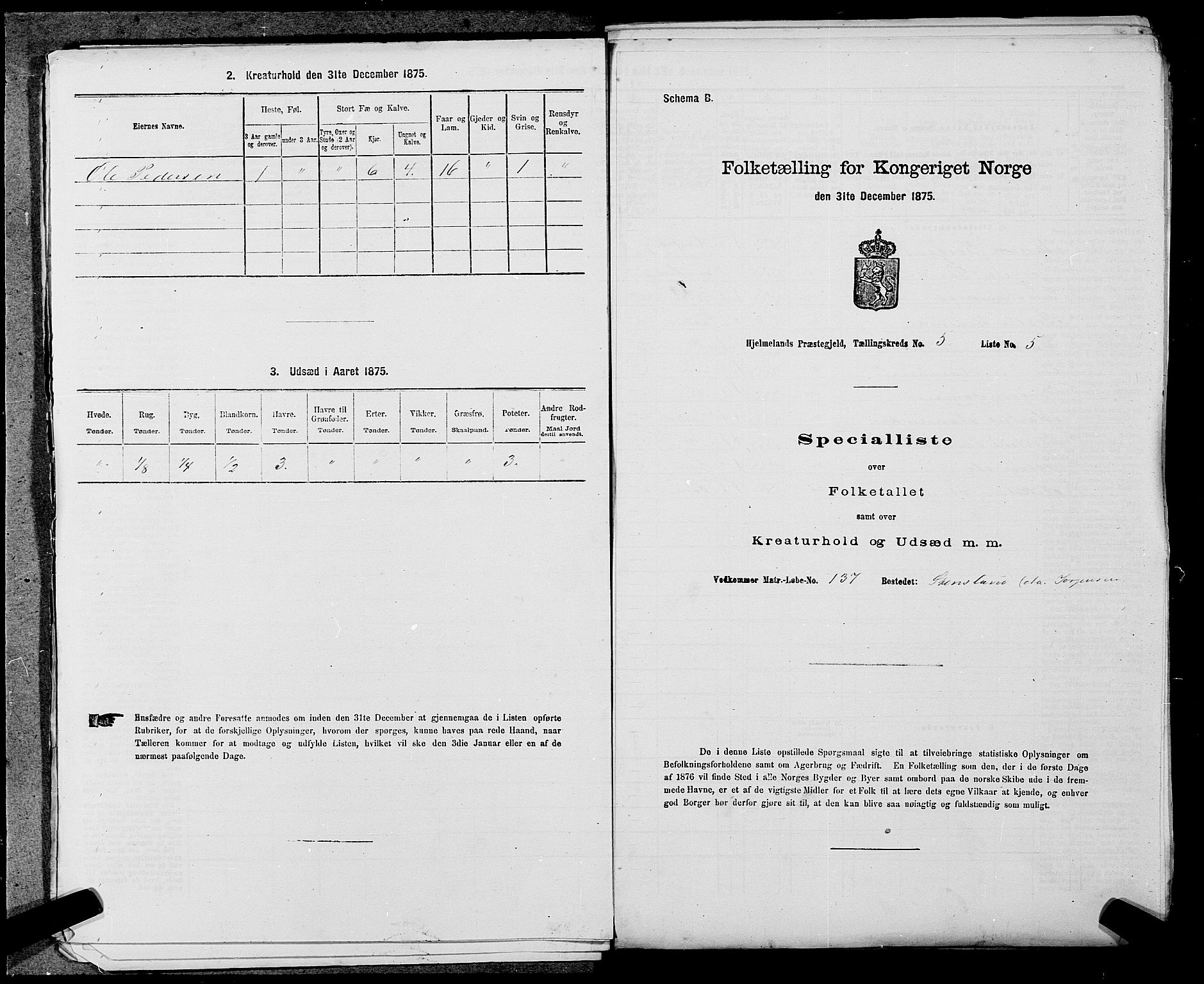 SAST, 1875 census for 1133P Hjelmeland, 1875, p. 585