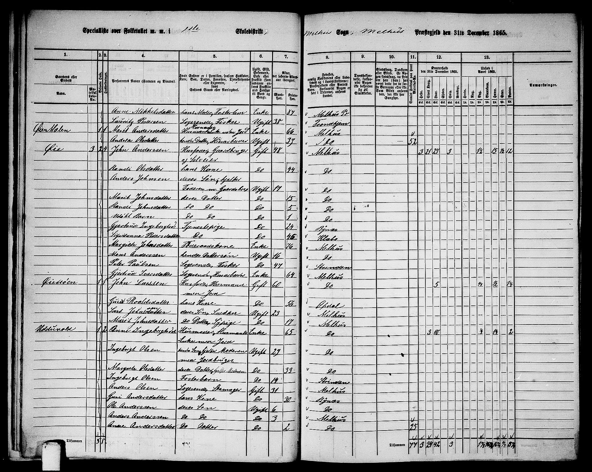 RA, 1865 census for Melhus, 1865, p. 19