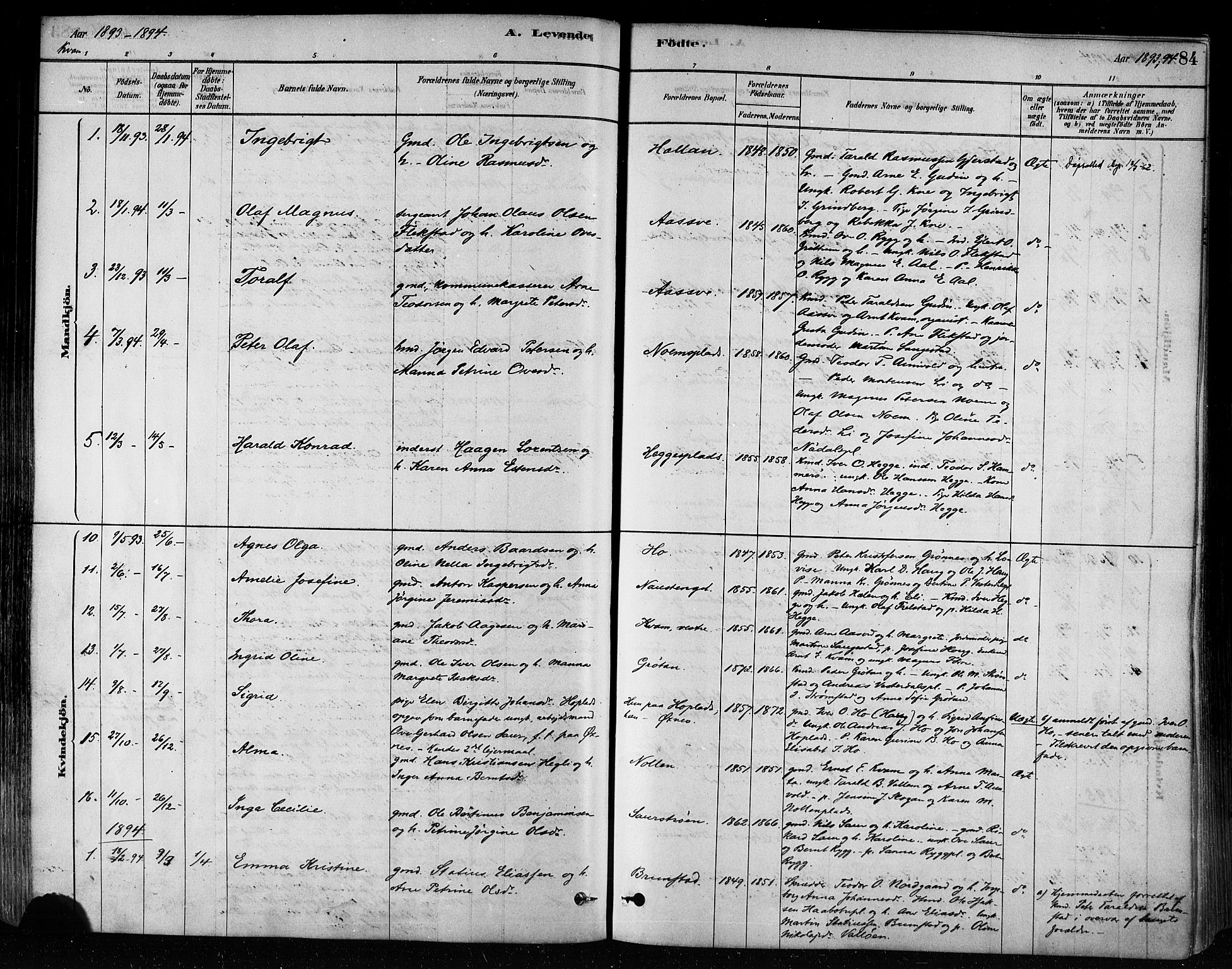 Ministerialprotokoller, klokkerbøker og fødselsregistre - Nord-Trøndelag, AV/SAT-A-1458/746/L0449: Parish register (official) no. 746A07 /2, 1878-1899, p. 84