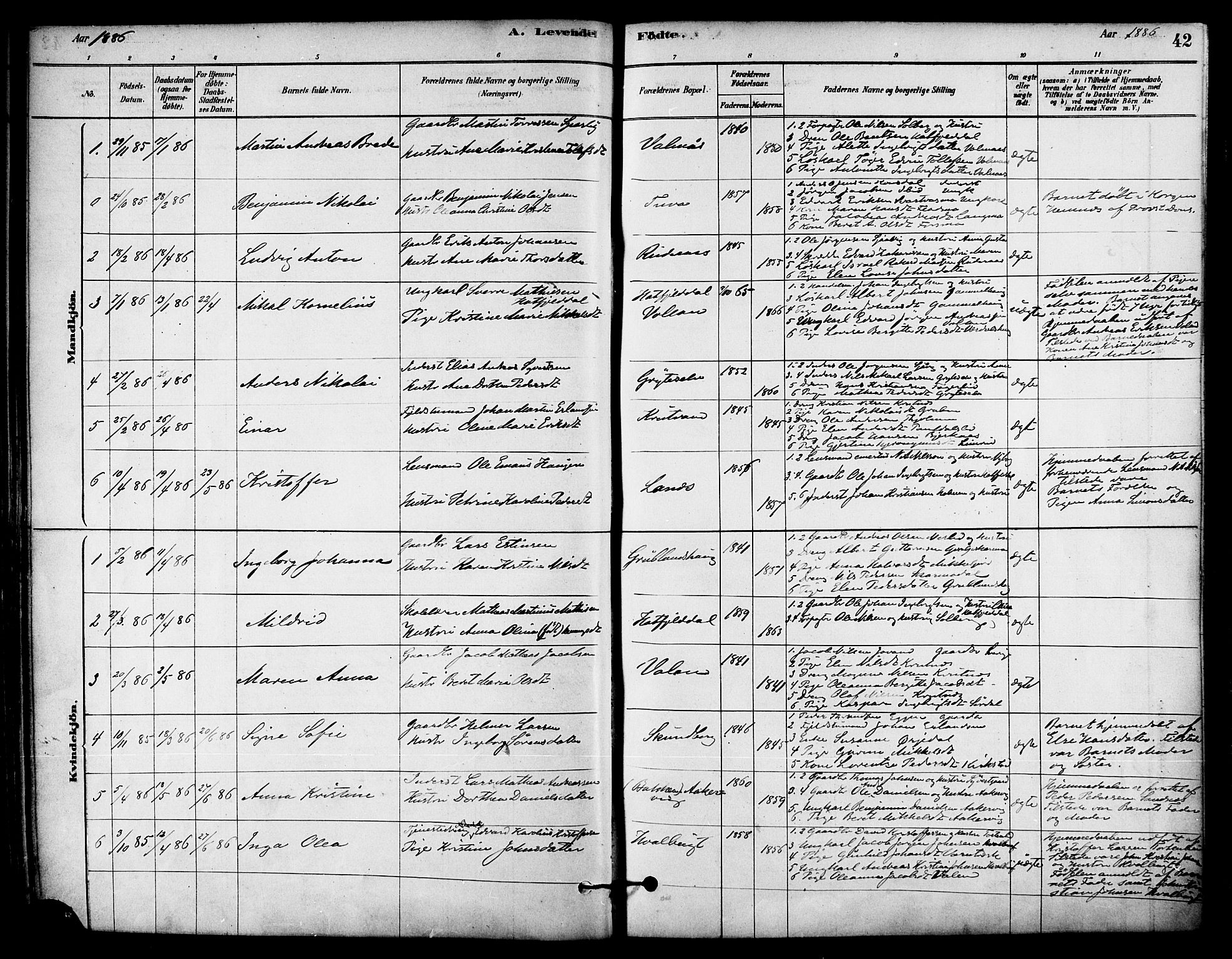 Ministerialprotokoller, klokkerbøker og fødselsregistre - Nordland, AV/SAT-A-1459/823/L0325: Parish register (official) no. 823A02, 1878-1898, p. 42