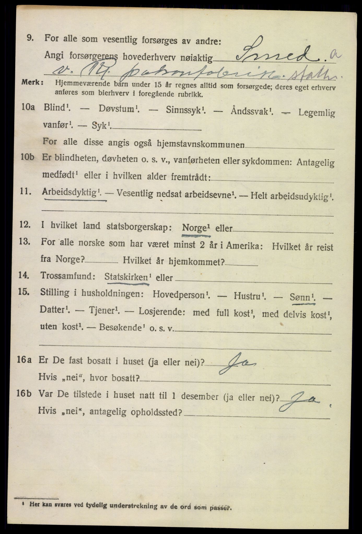 SAH, 1920 census for Vestre Toten, 1920, p. 11197