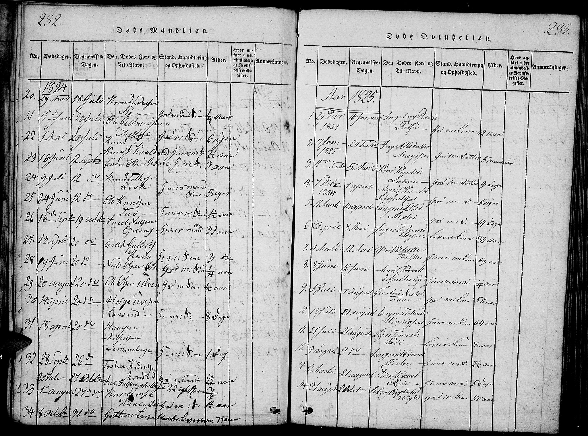 Slidre prestekontor, SAH/PREST-134/H/Ha/Haa/L0002: Parish register (official) no. 2, 1814-1830, p. 232-233