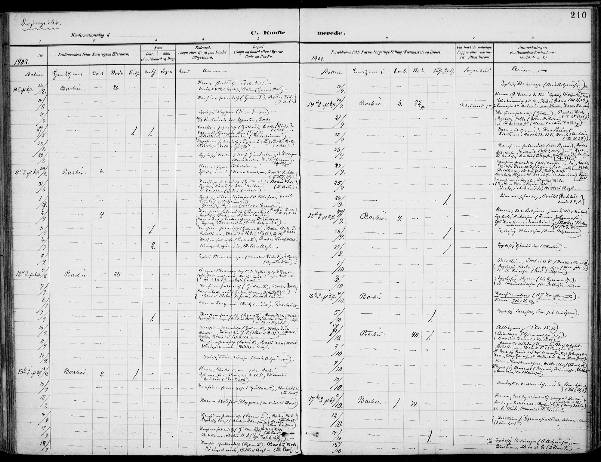 Barbu sokneprestkontor, AV/SAK-1111-0003/F/Fa/L0005: Parish register (official) no. A 5, 1899-1909, p. 210