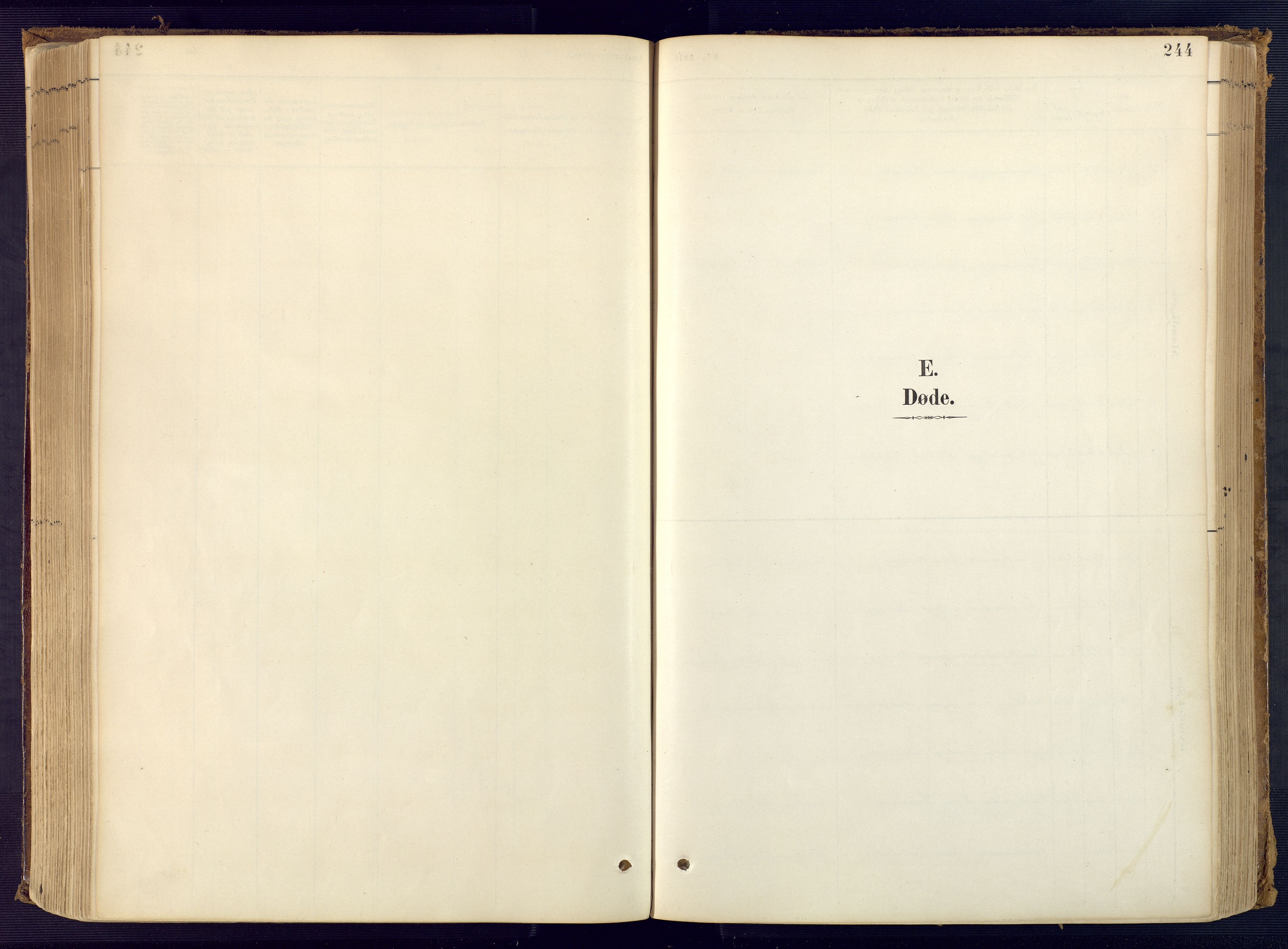 Bjelland sokneprestkontor, AV/SAK-1111-0005/F/Fa/Faa/L0004: Parish register (official) no. A 4, 1887-1923, p. 244