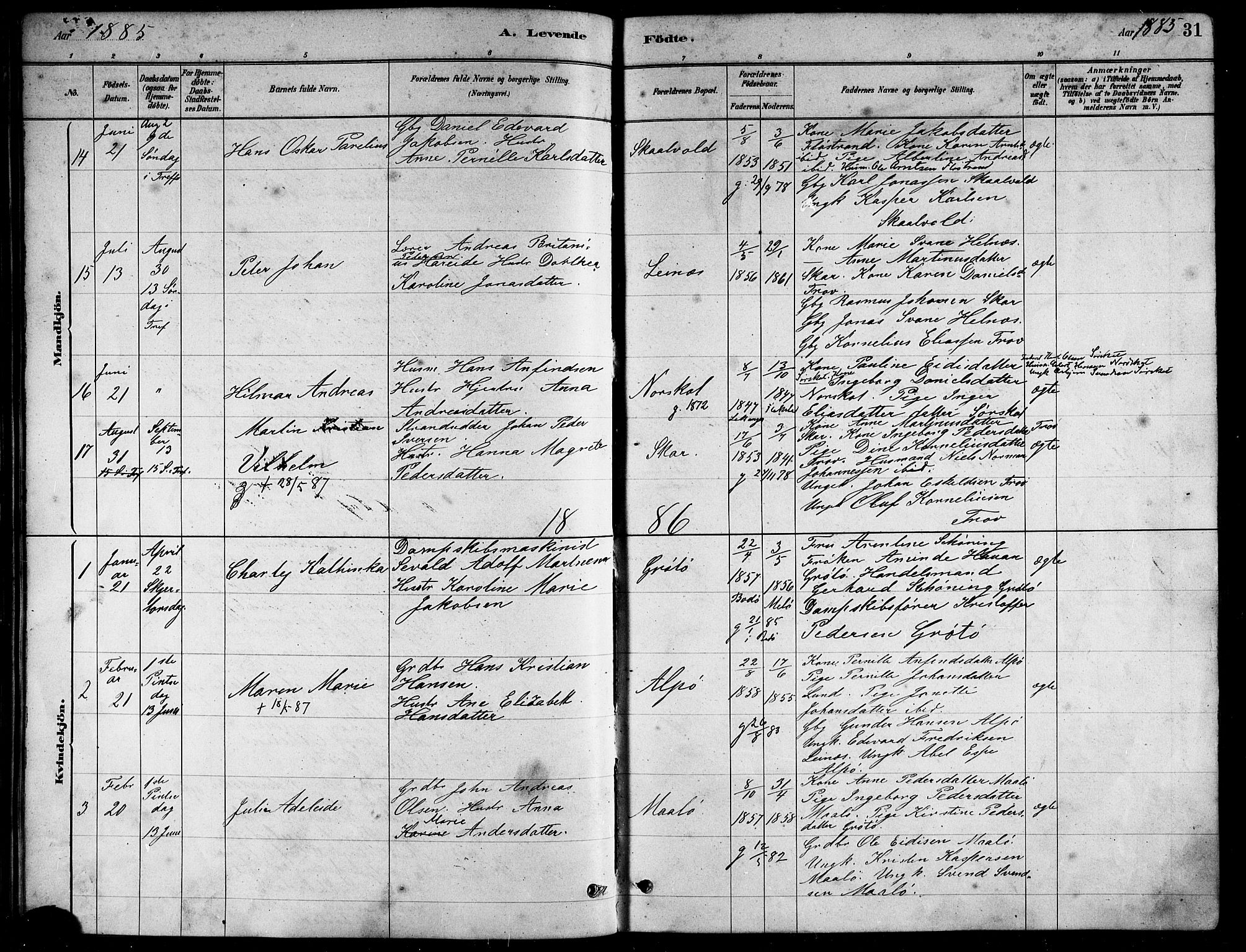 Ministerialprotokoller, klokkerbøker og fødselsregistre - Nordland, AV/SAT-A-1459/857/L0828: Parish register (copy) no. 857C03, 1879-1908, p. 31