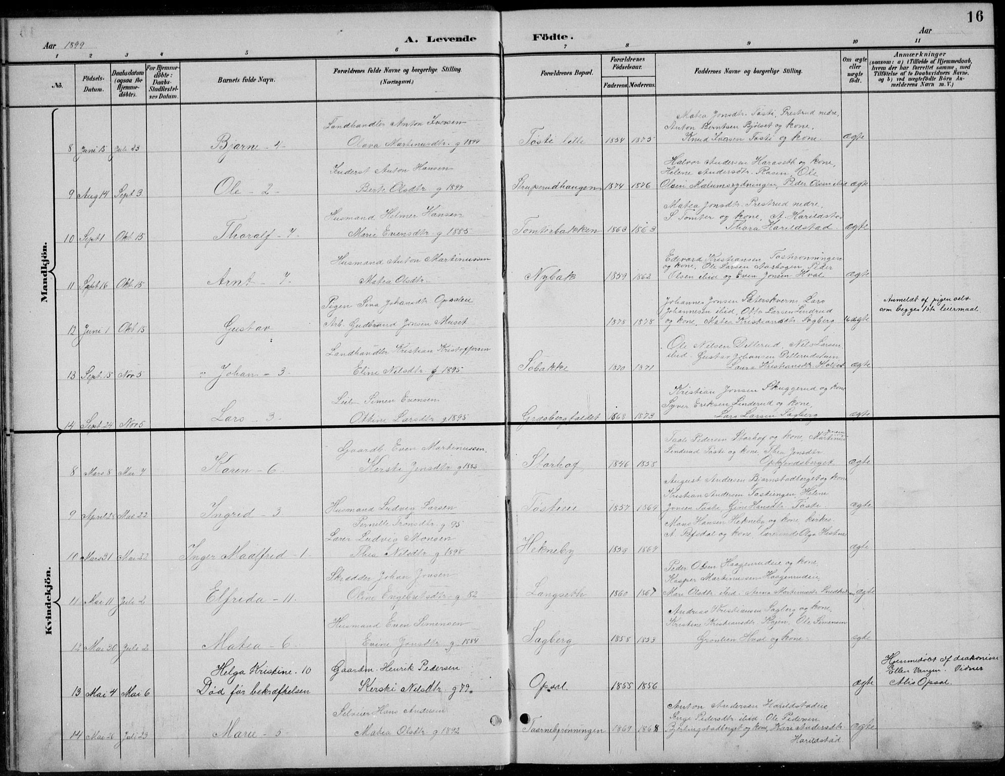 Romedal prestekontor, AV/SAH-PREST-004/L/L0013: Parish register (copy) no. 13, 1896-1937, p. 16