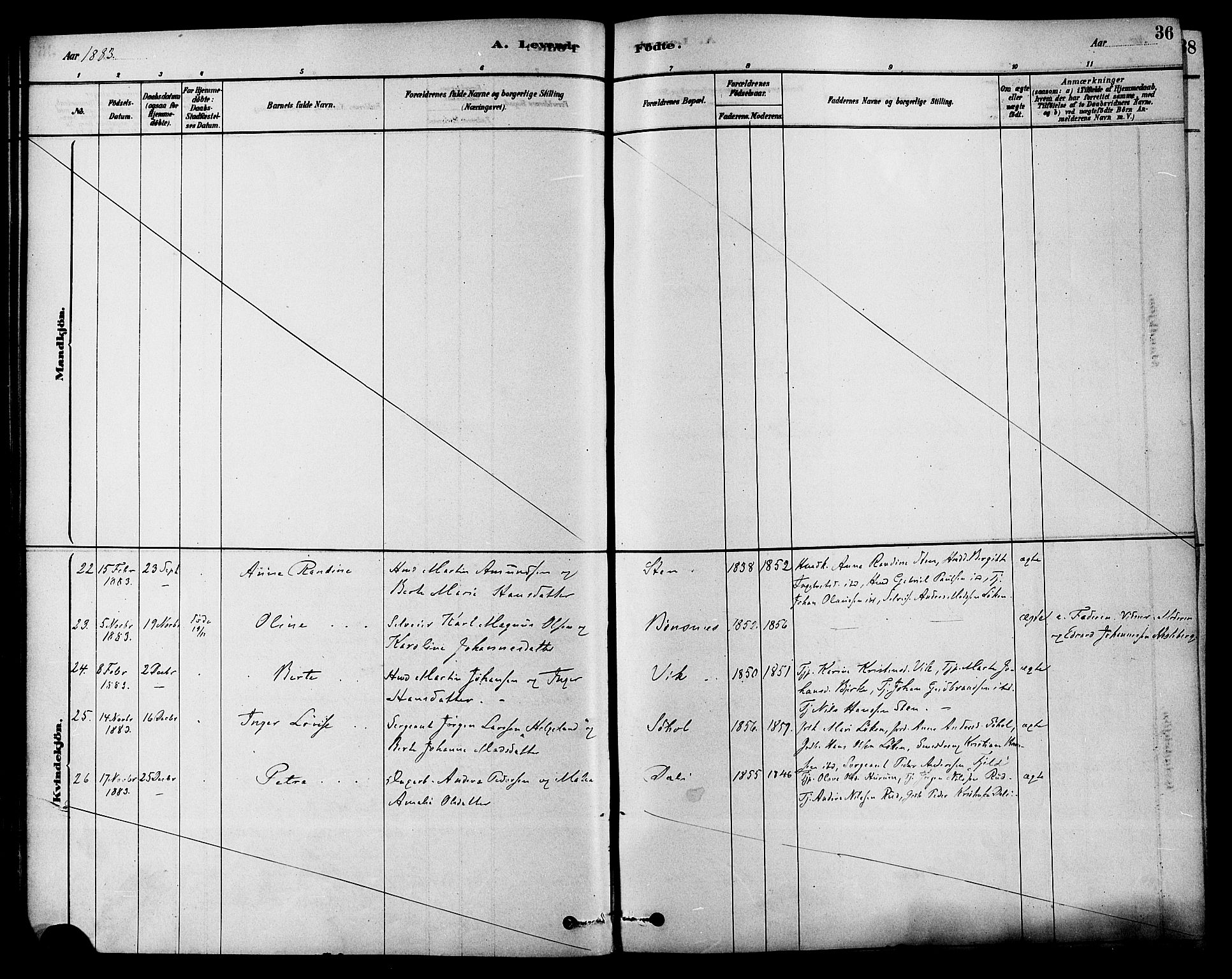 Hole kirkebøker, SAKO/A-228/F/Fa/L0008: Parish register (official) no. I 8, 1878-1891, p. 36