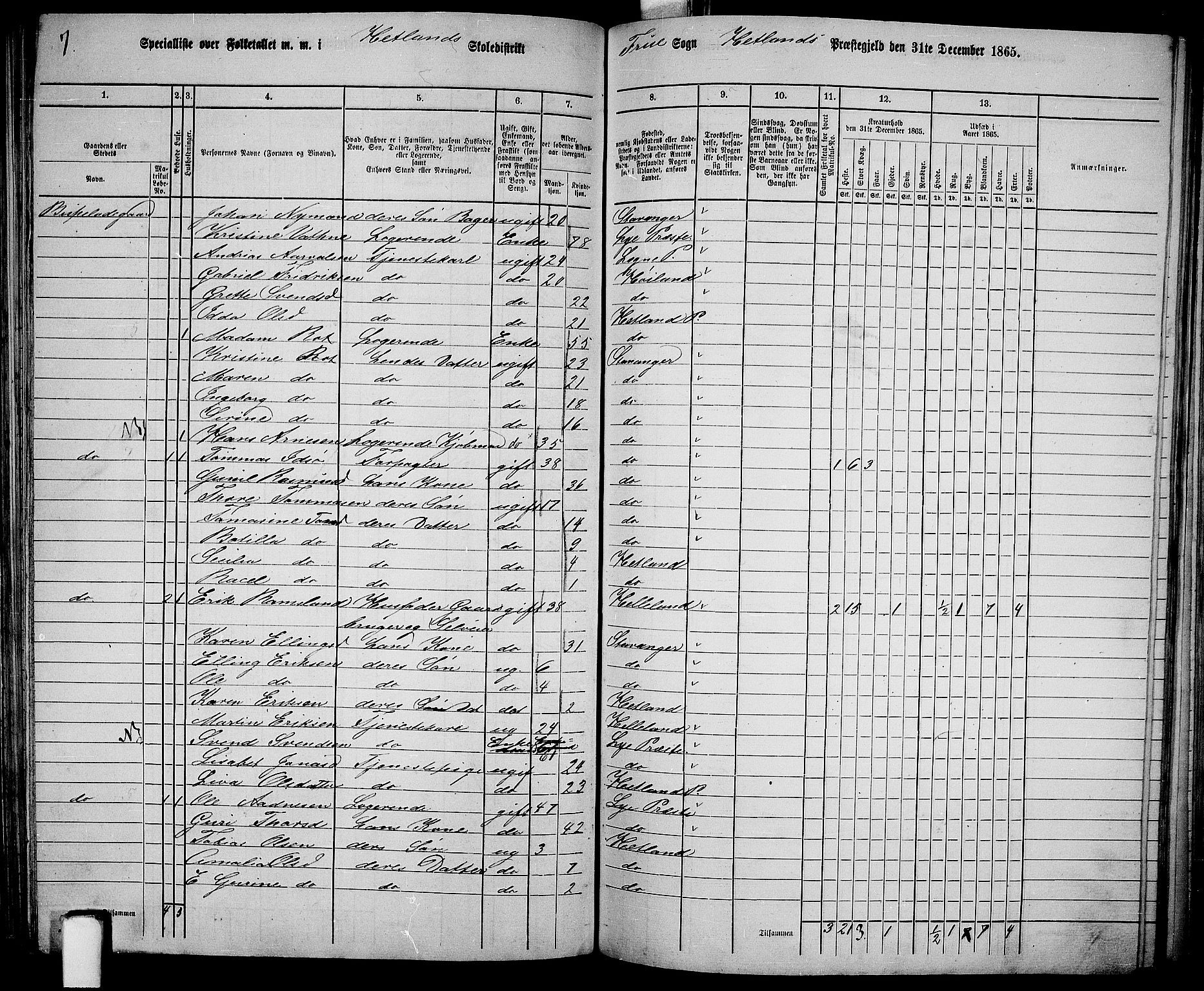 RA, 1865 census for Hetland, 1865, p. 121