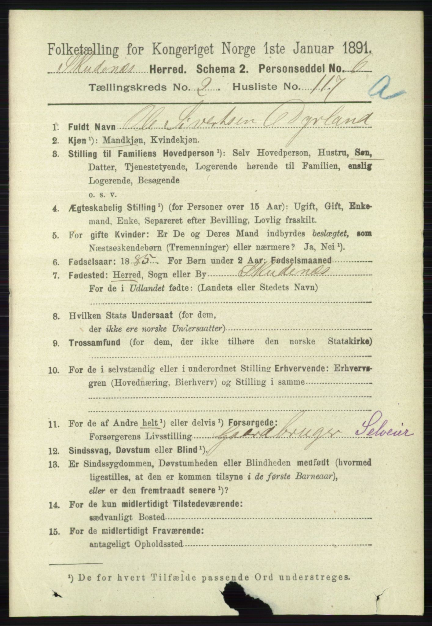 RA, 1891 census for 1150 Skudenes, 1891, p. 1327