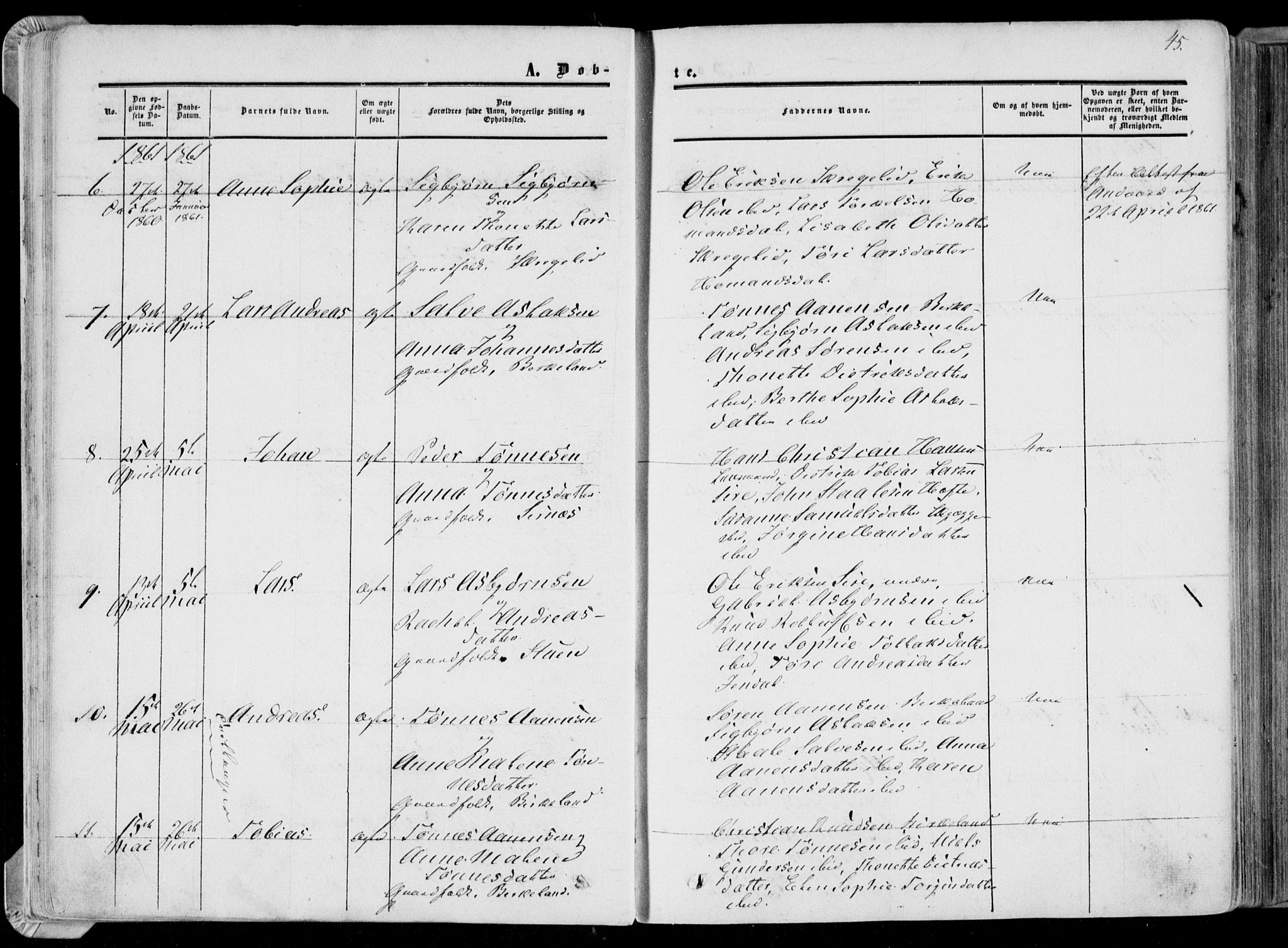 Bakke sokneprestkontor, AV/SAK-1111-0002/F/Fa/Faa/L0006: Parish register (official) no. A 6, 1855-1877, p. 45