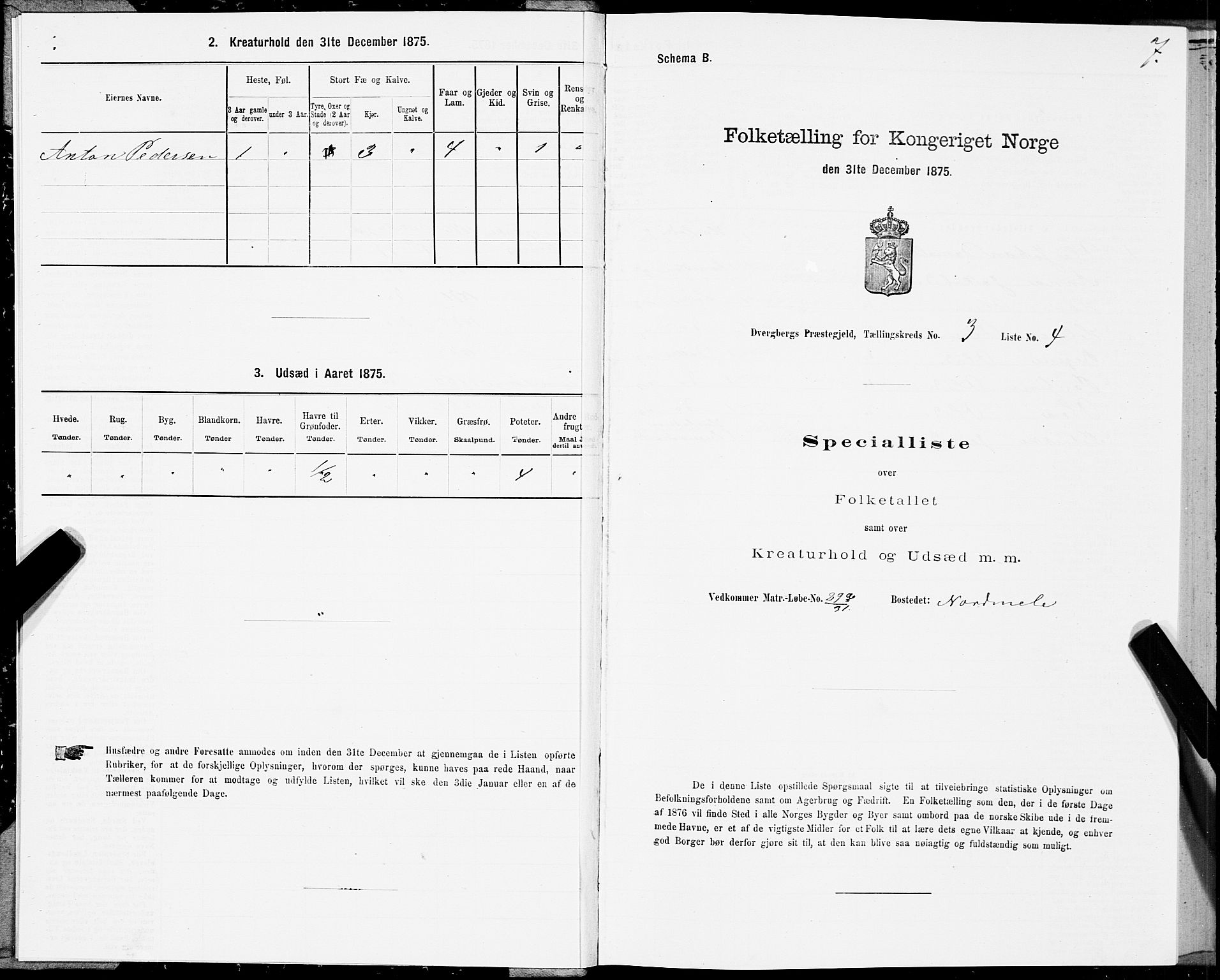 SAT, 1875 census for 1872P Dverberg, 1875, p. 2007